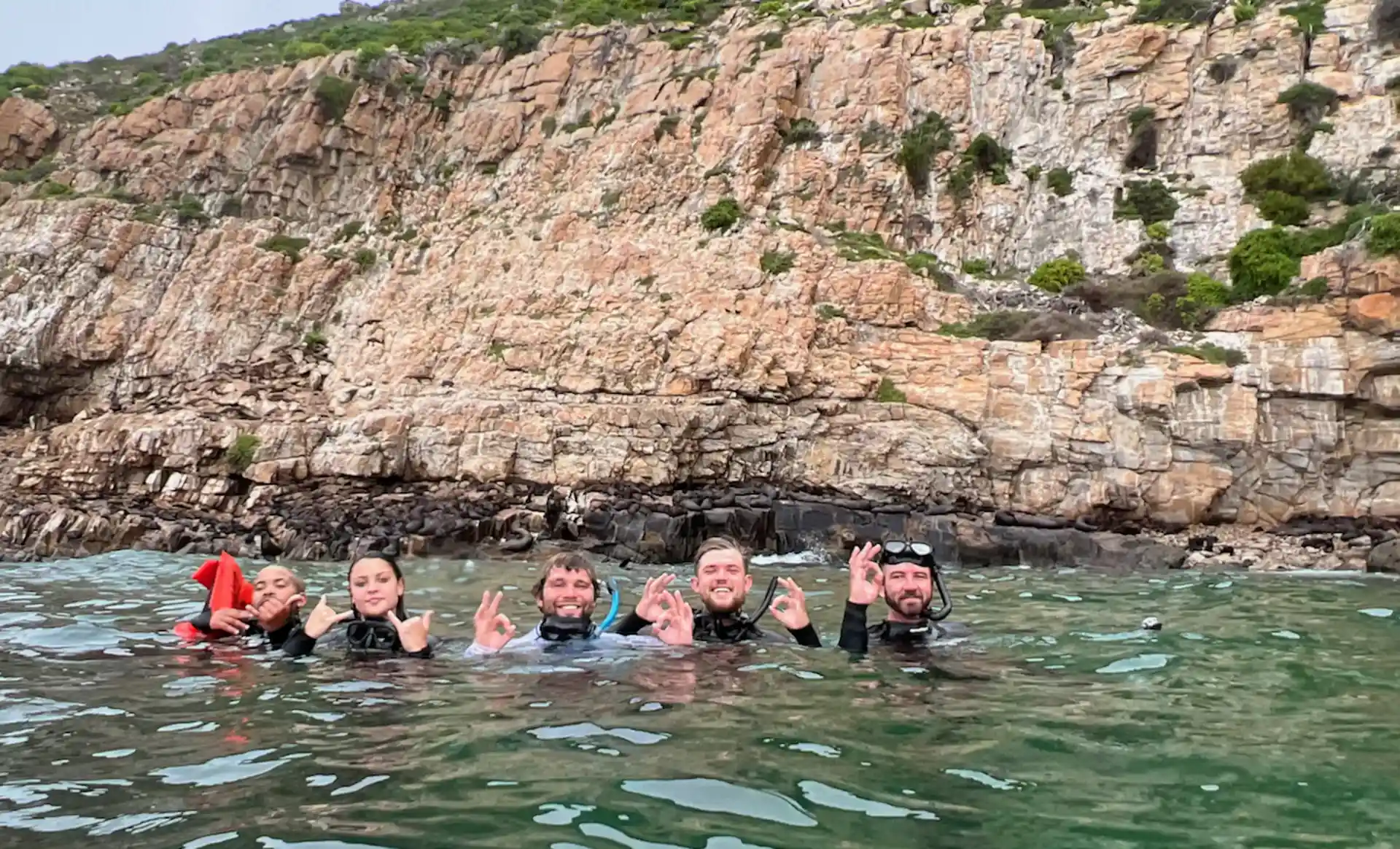 Foto dell'attività