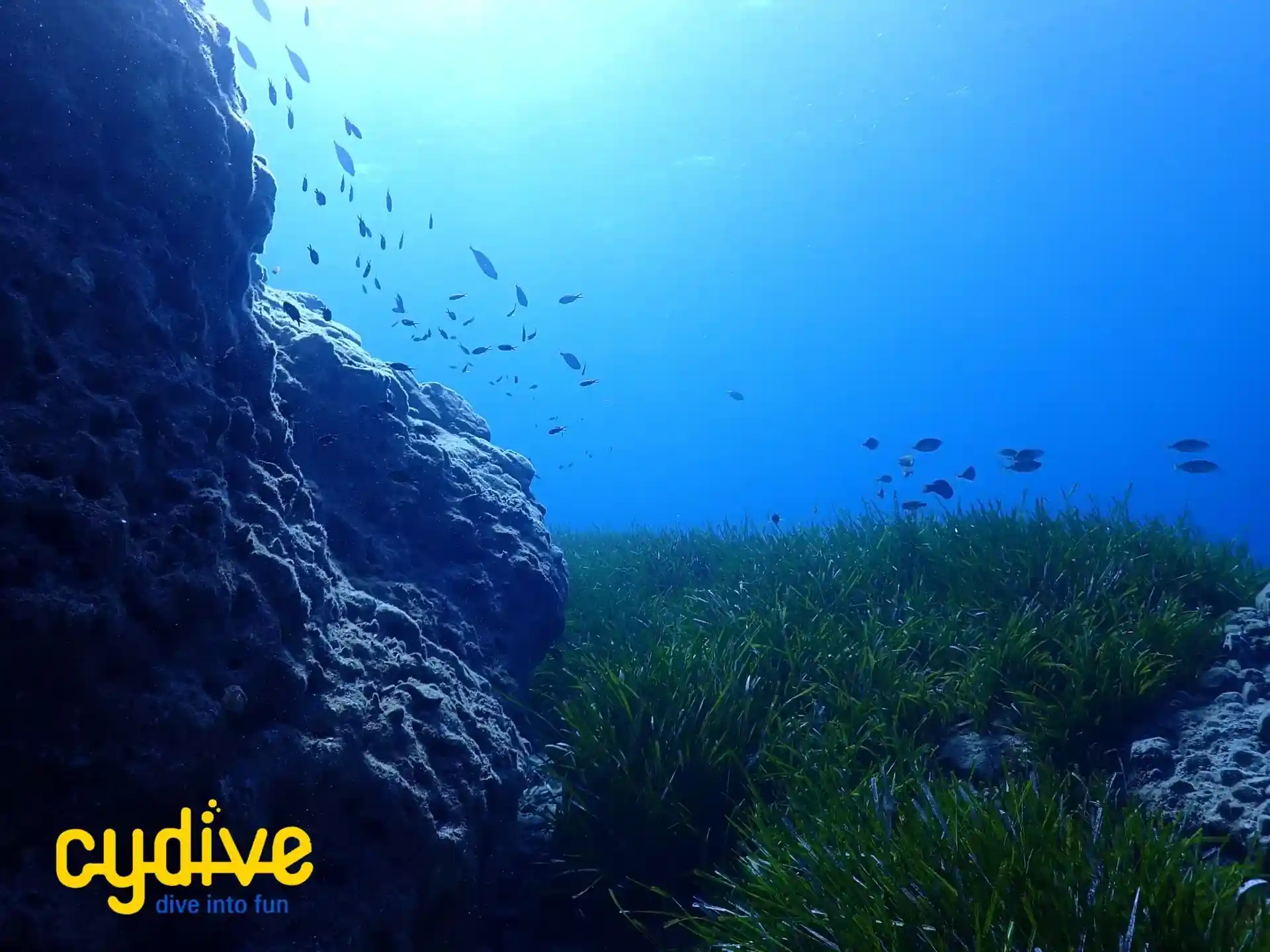 Dive site photo