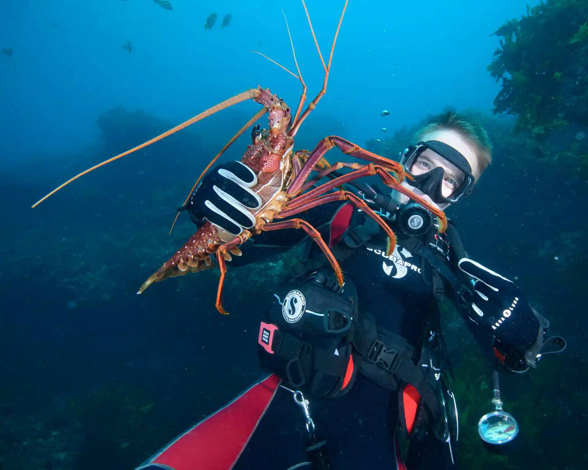 Dive shop photo