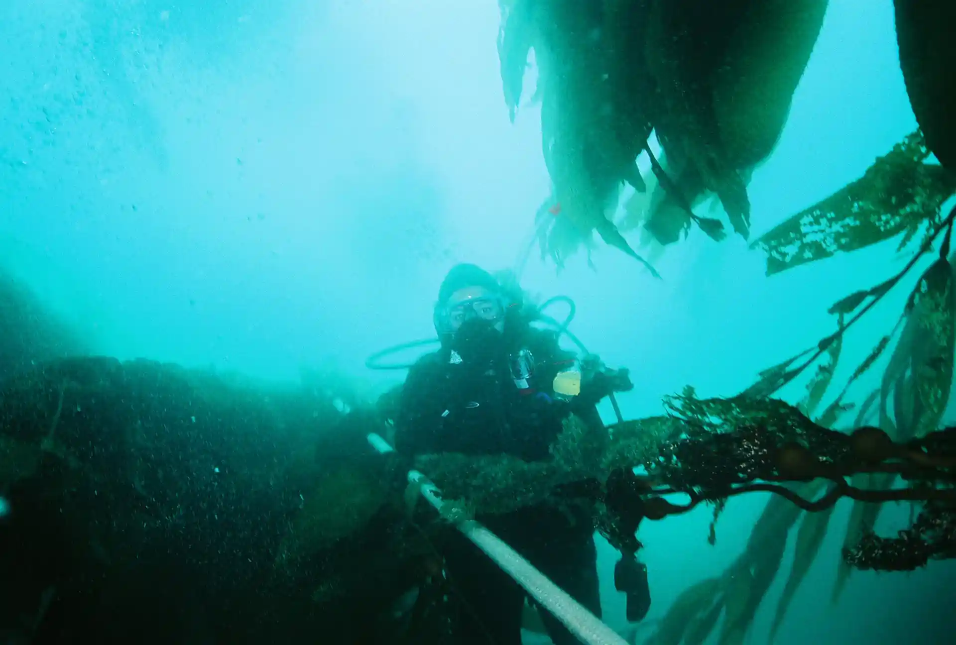 Dive site photo