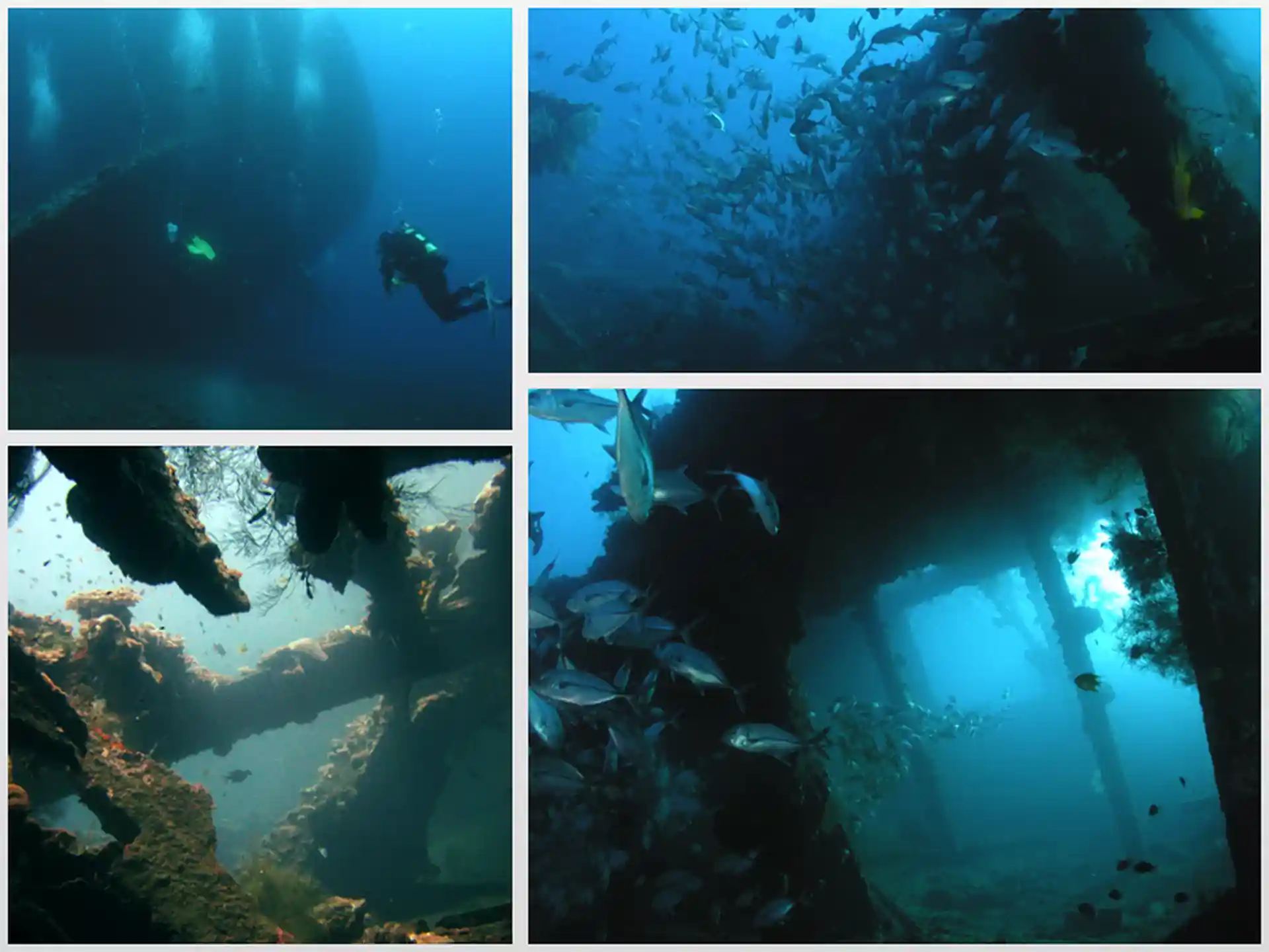 Photo de l'activité