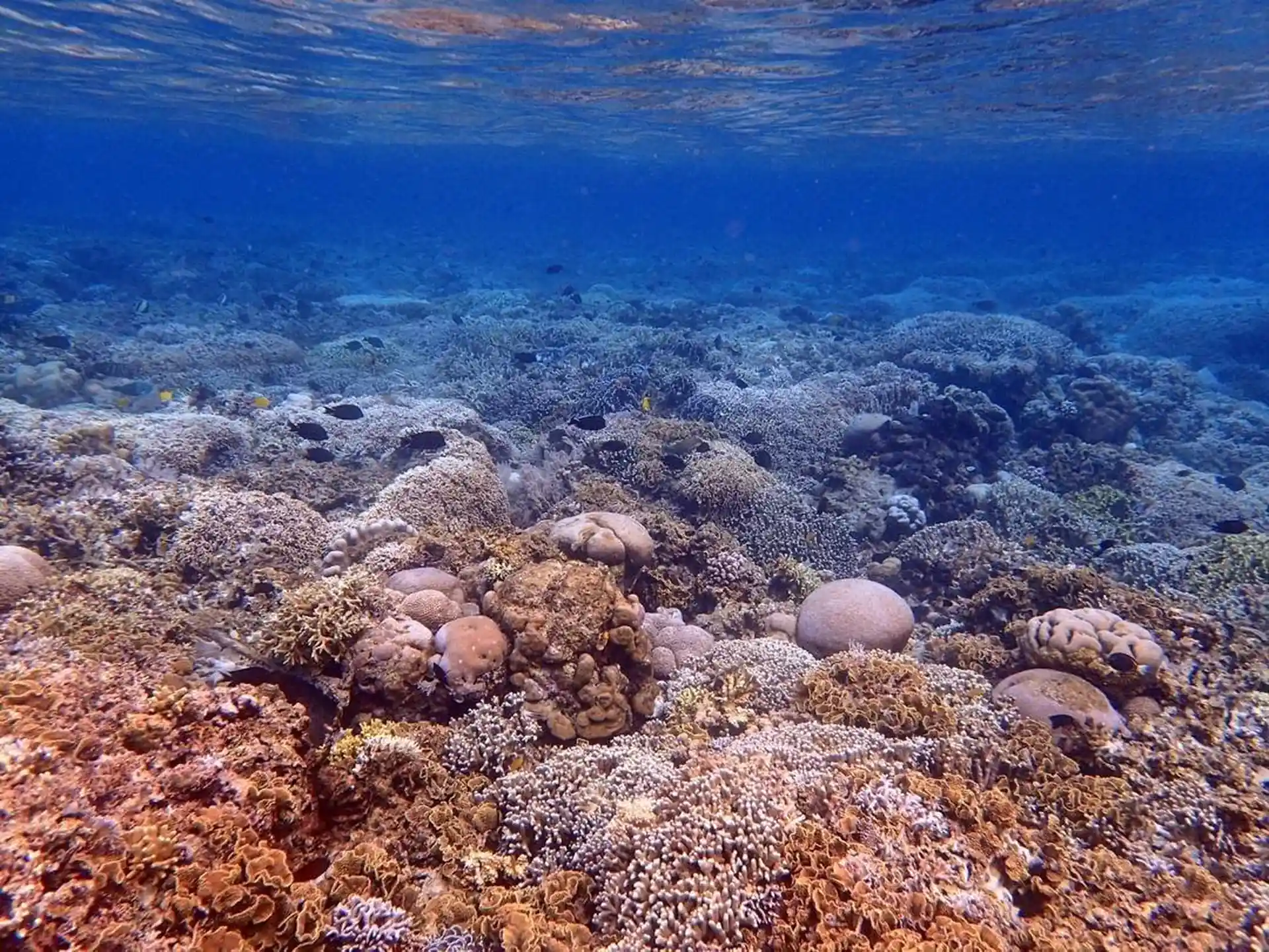 Dive site photo