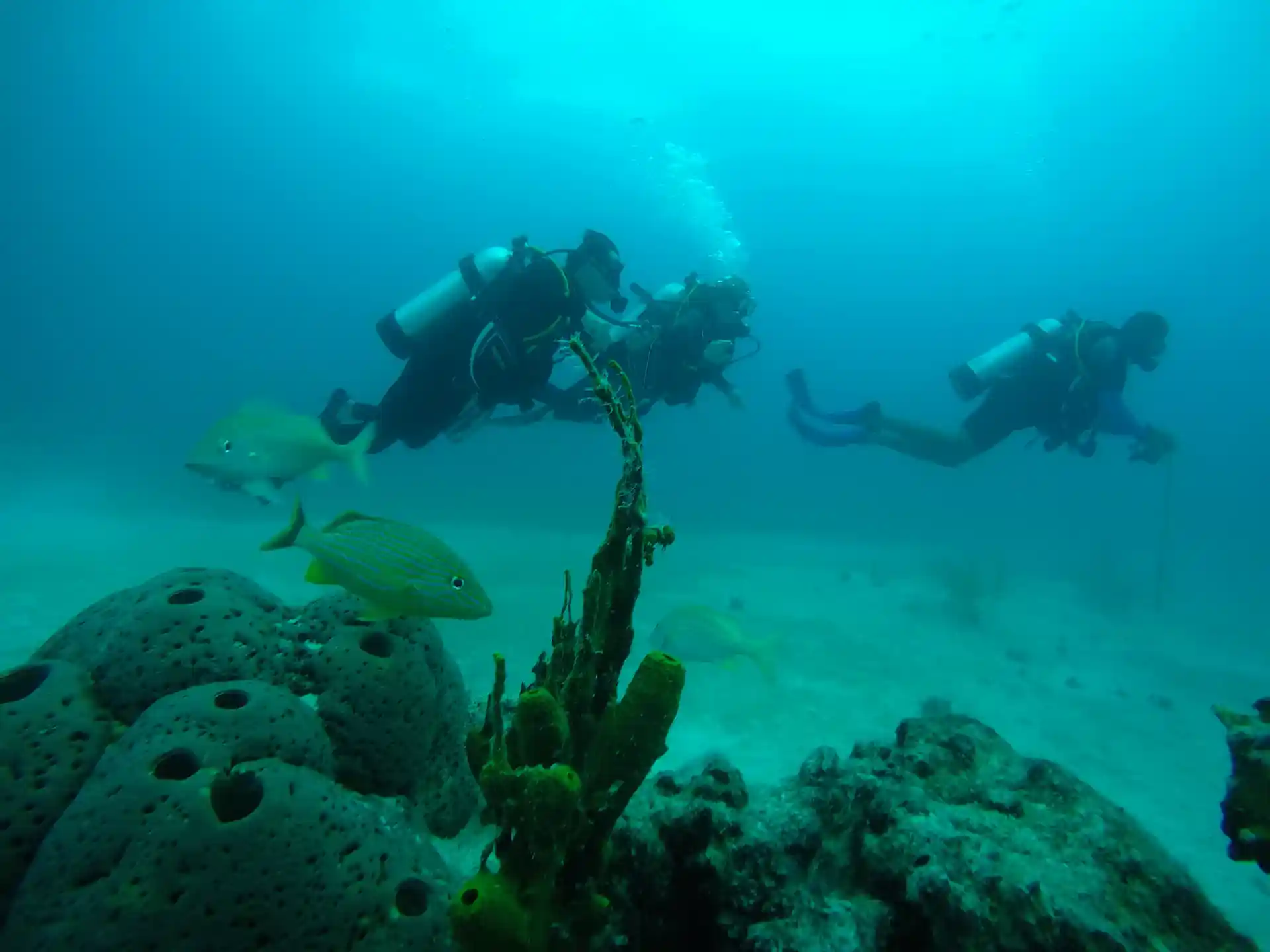 Dive shop photo