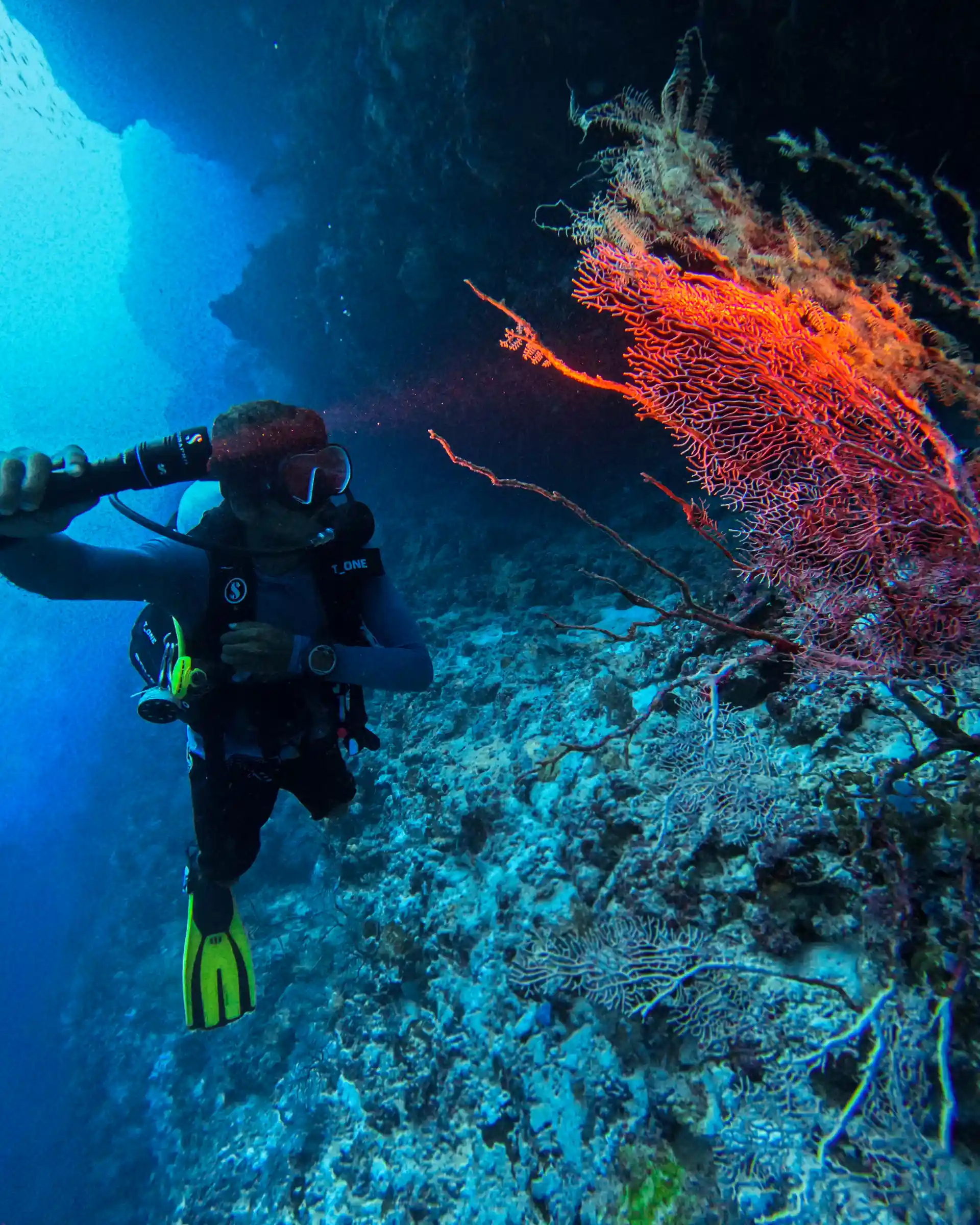 Dive shop photo