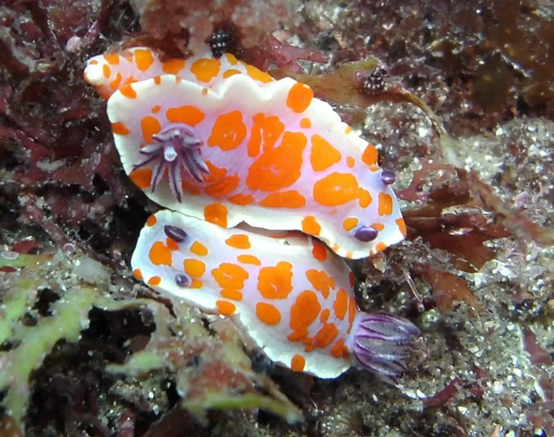 다이빙 포인트 사진