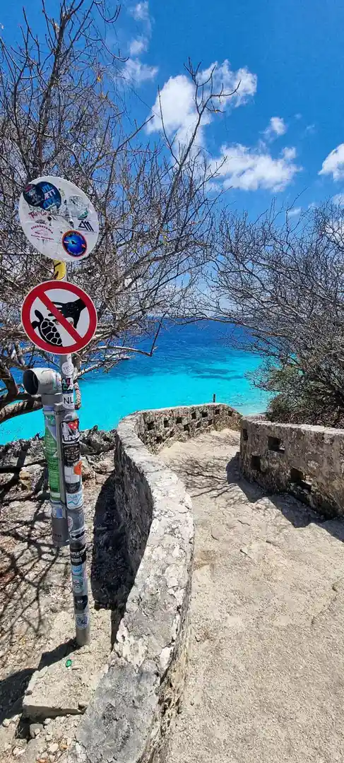 Жалаңаш Катя Стриженованың видеосы