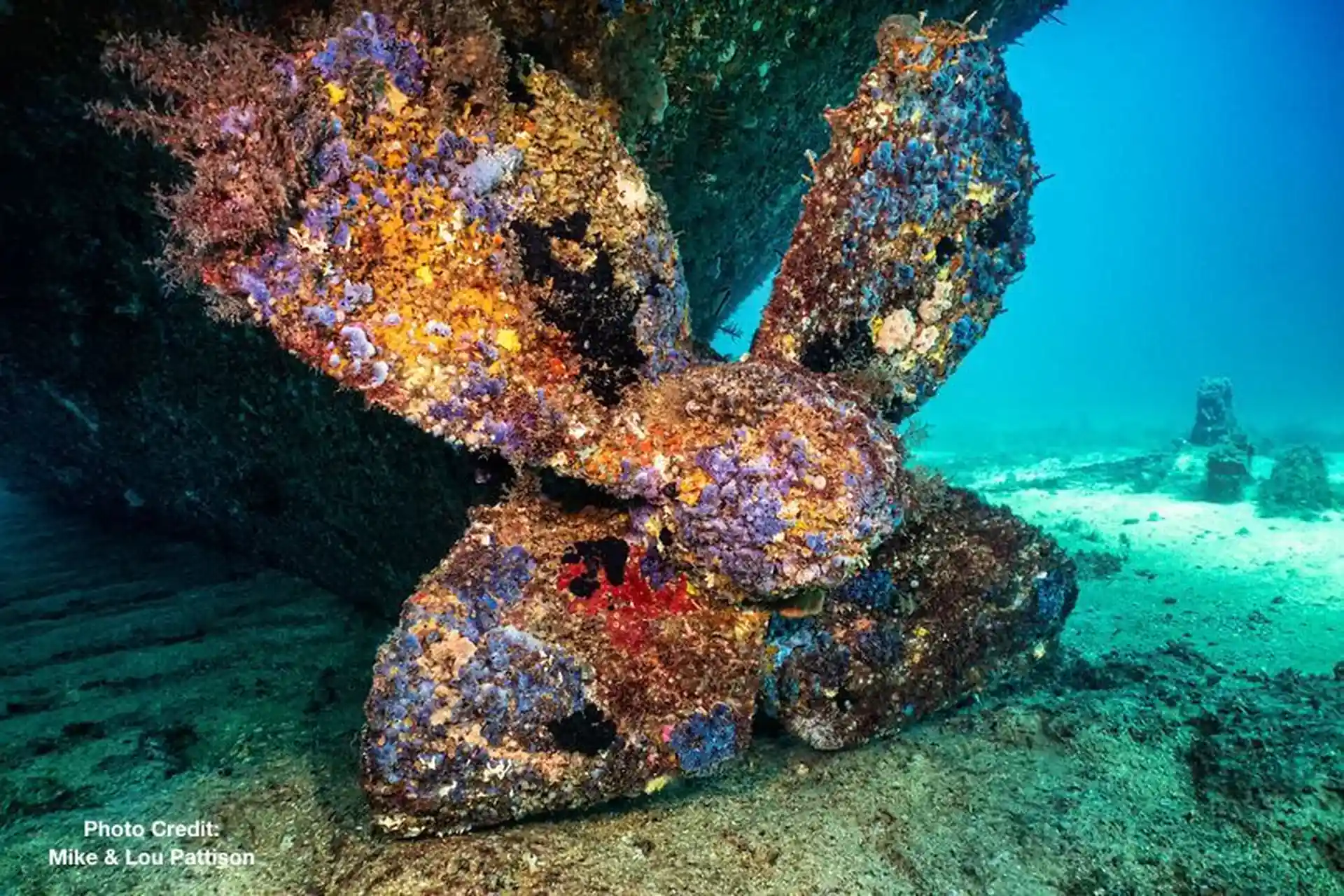 Dive shop photo