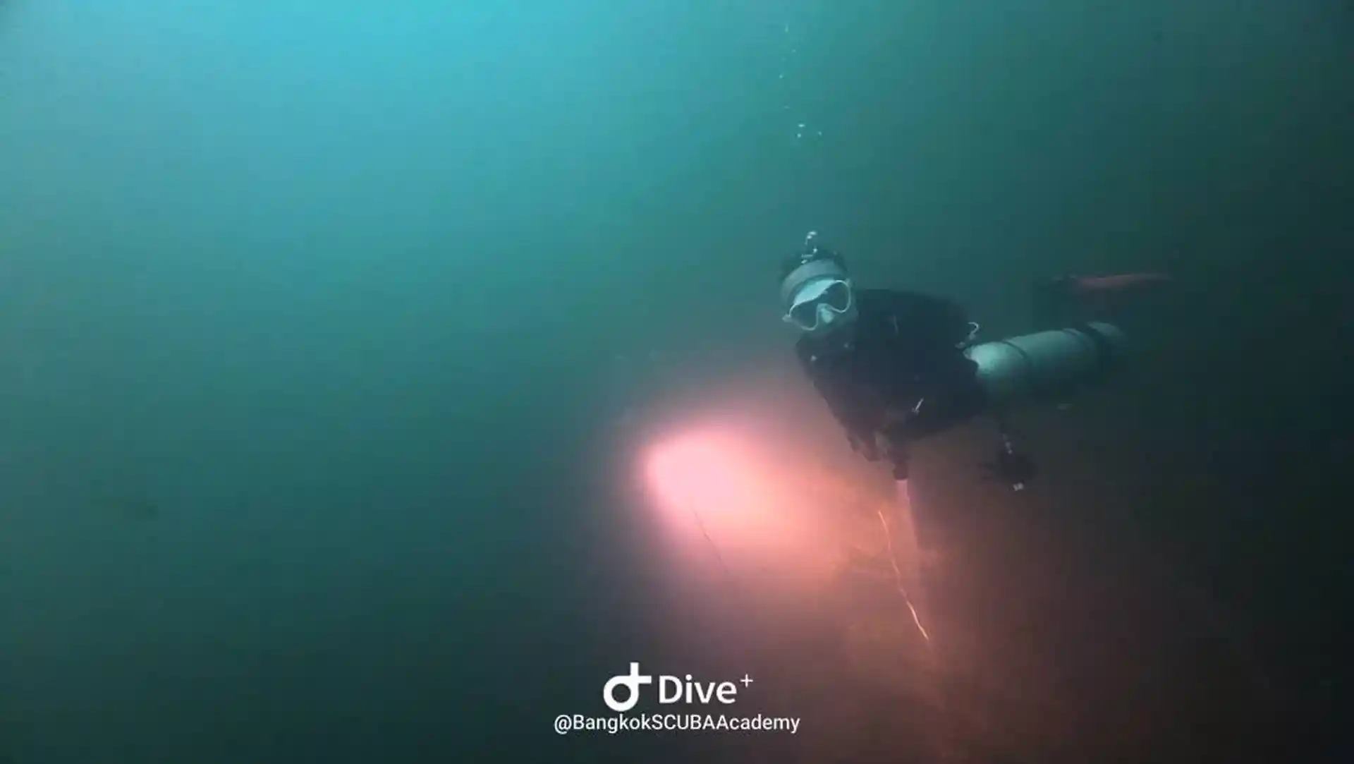 Foto de la actividad