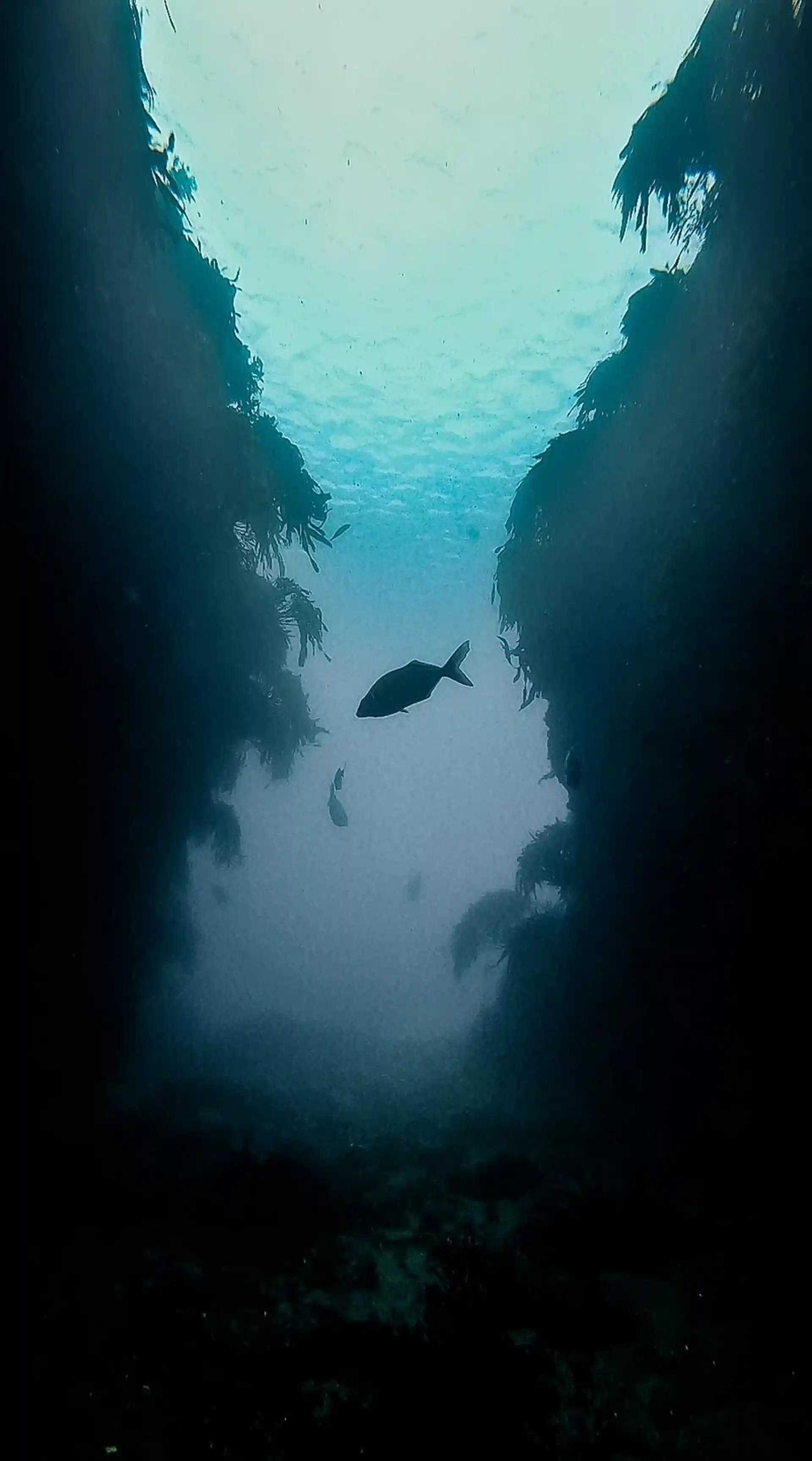Dive site photo