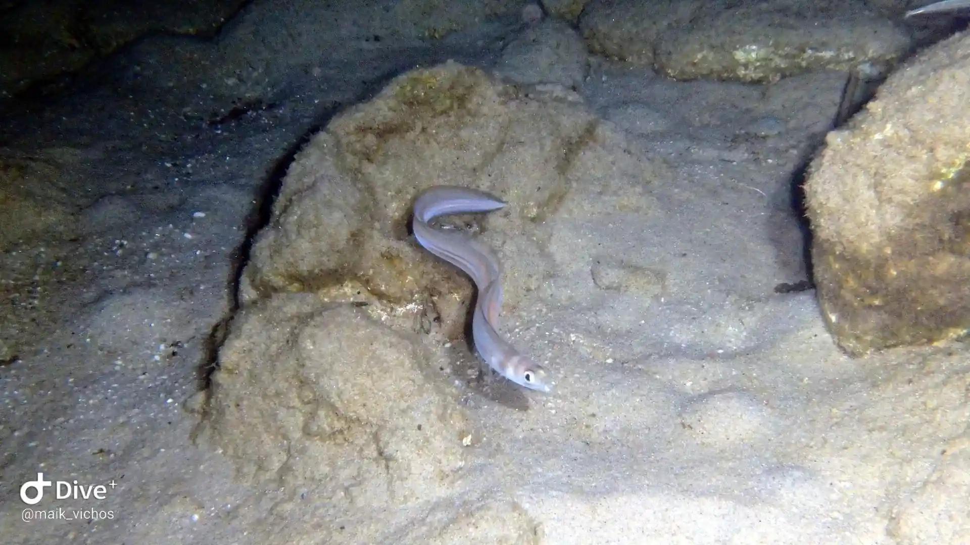 Dive shop photo
