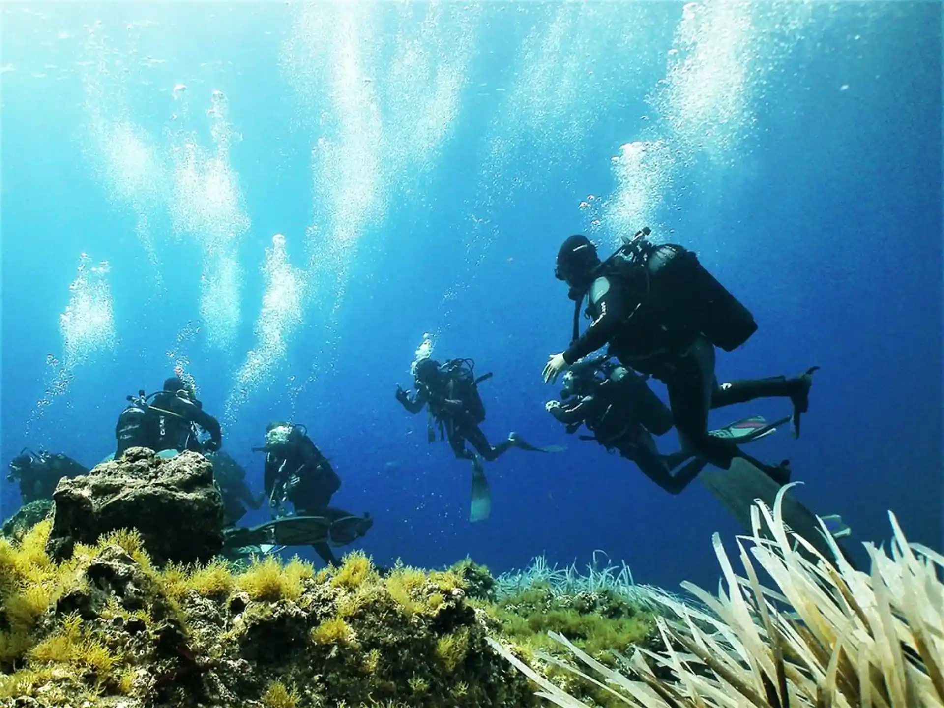 Foto dell'attività