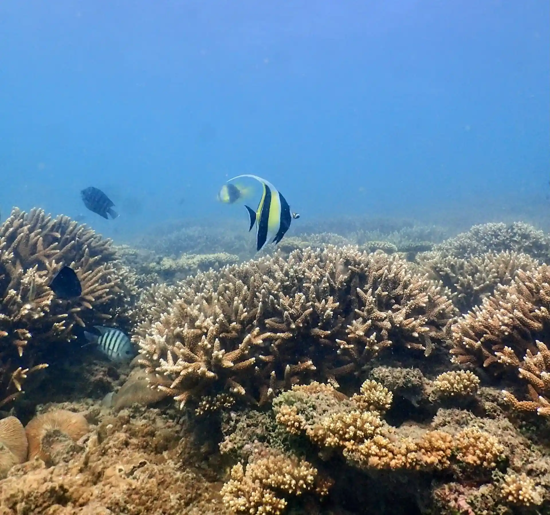 다이빙 포인트 사진