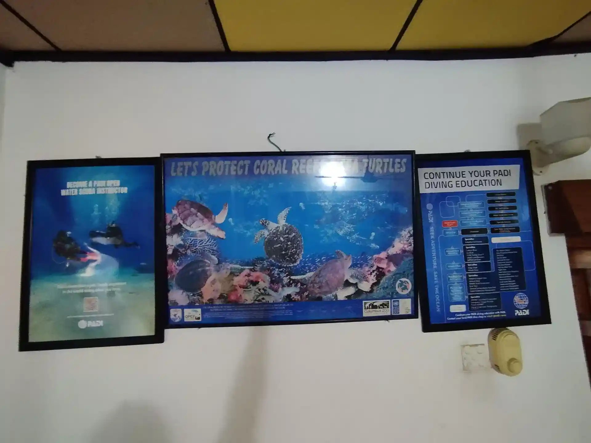 DIVE SHOP