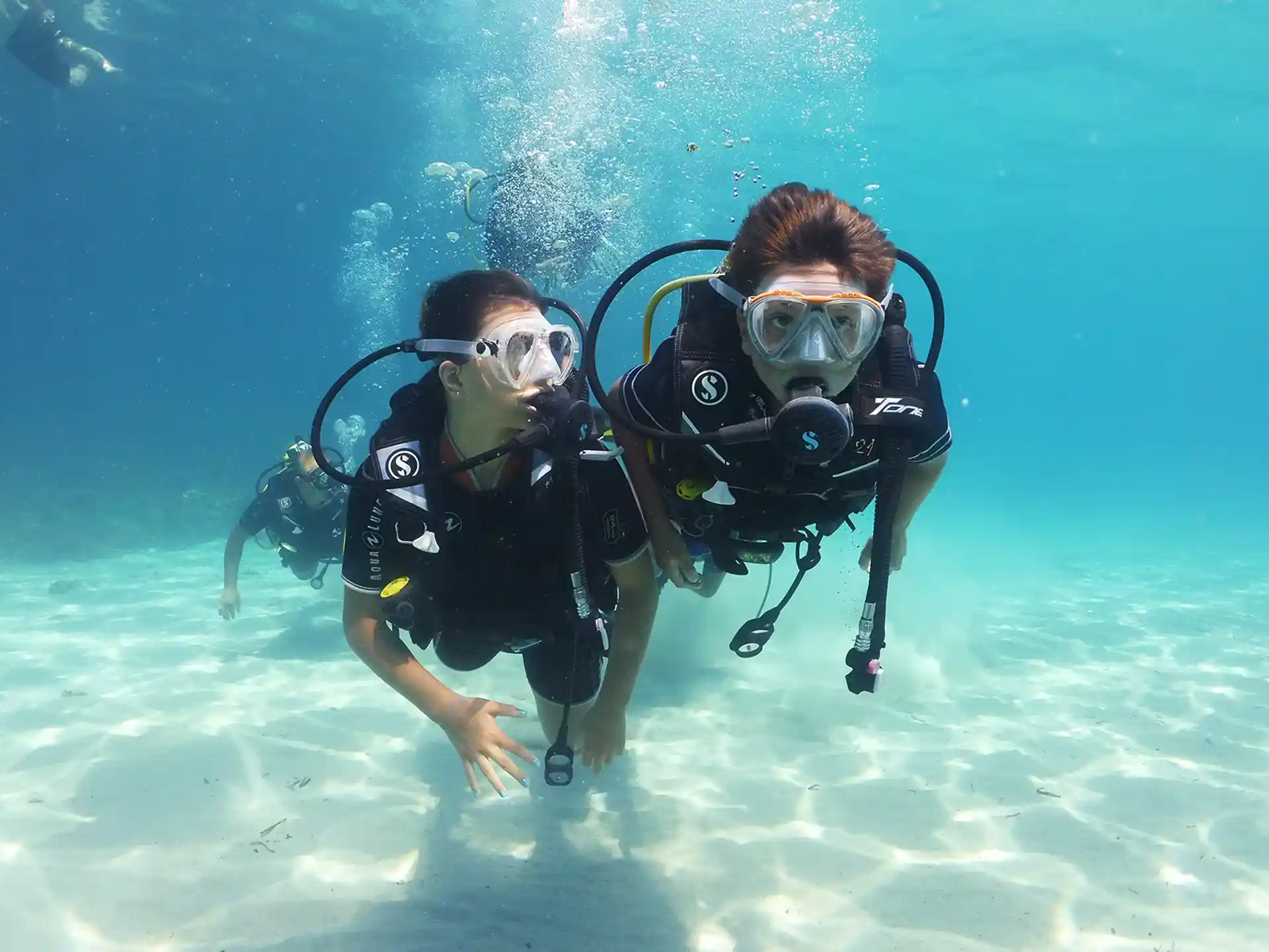 Foto de la actividad