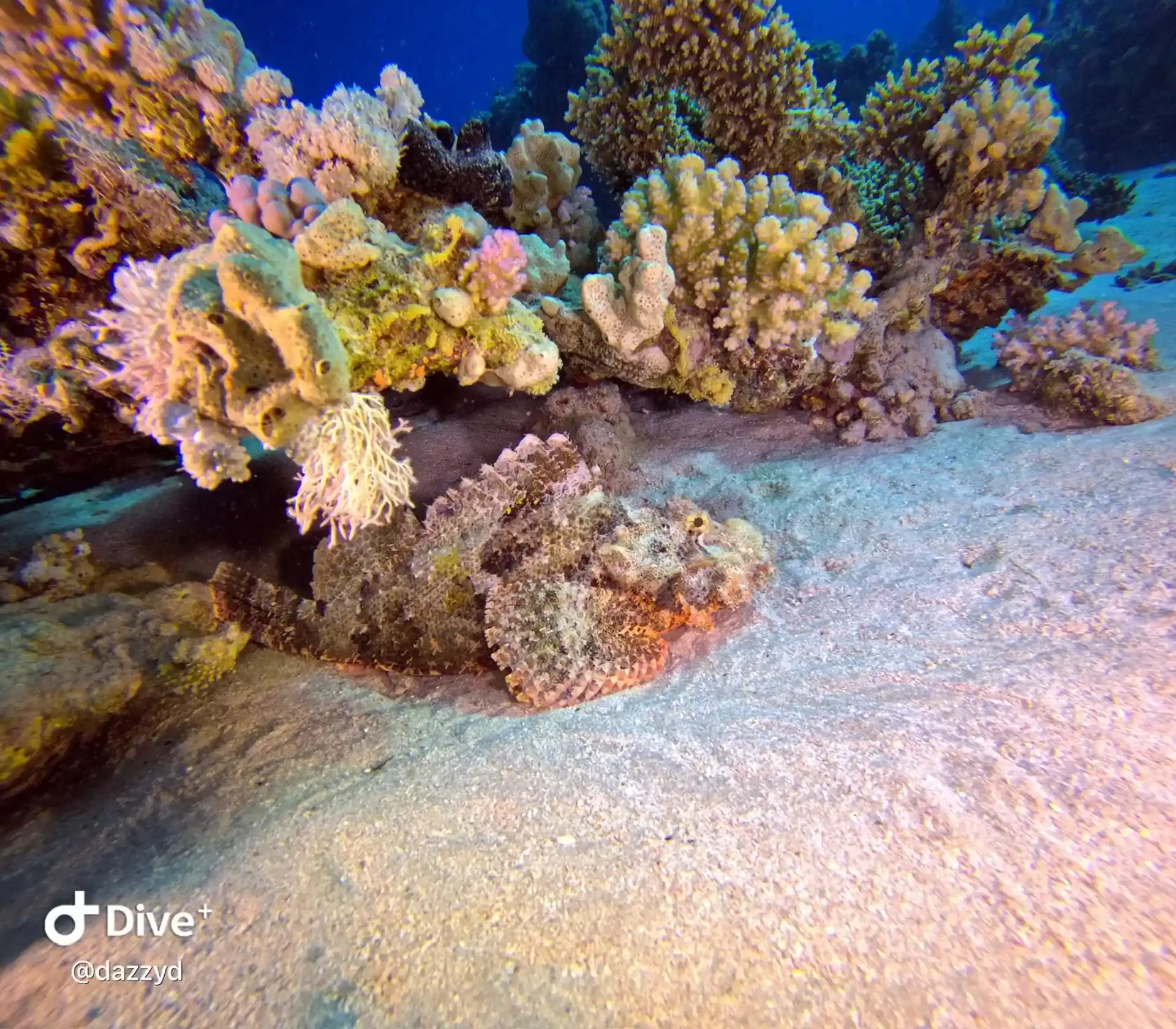 Dive site photo