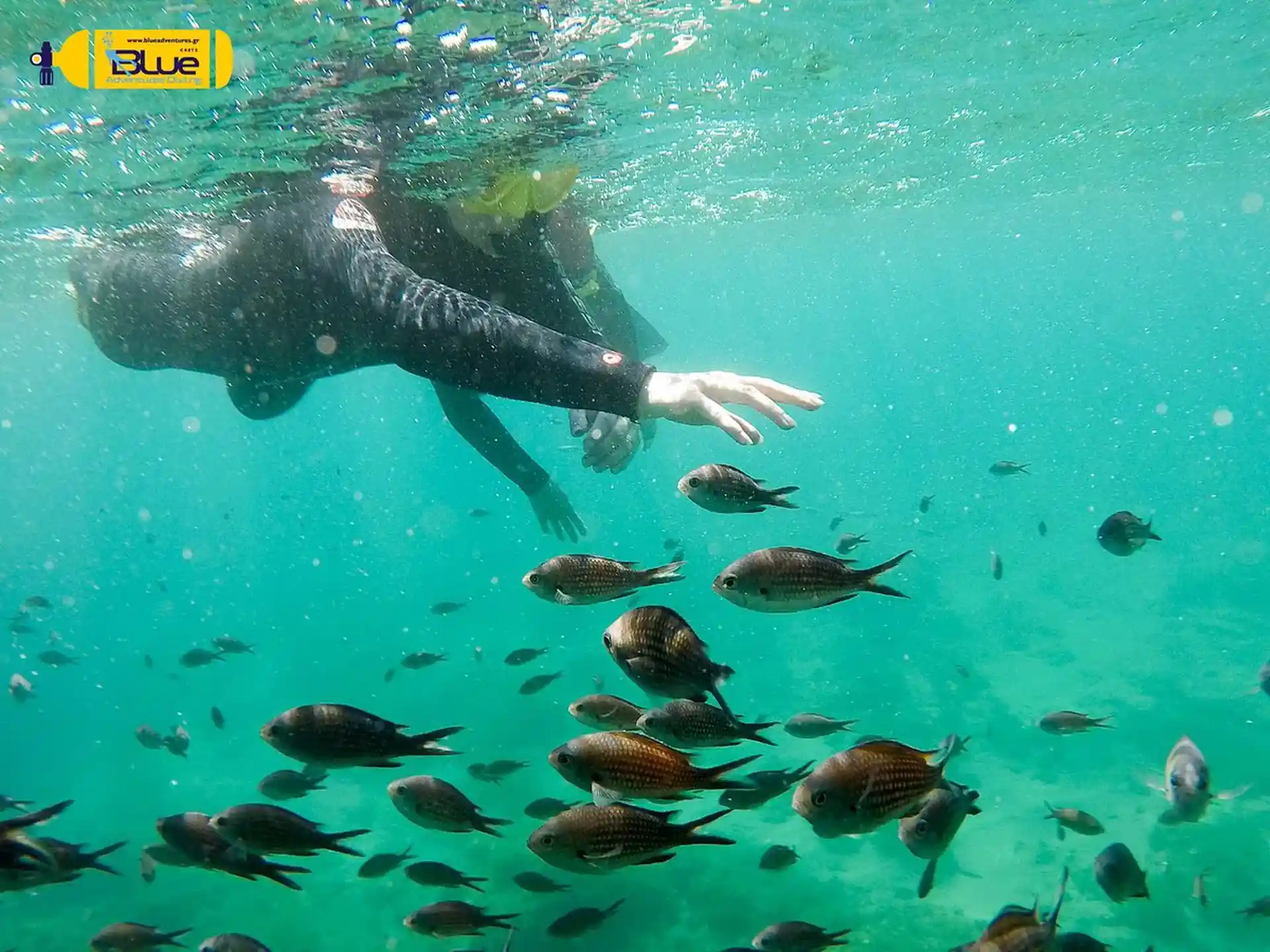 Photo de l'activité