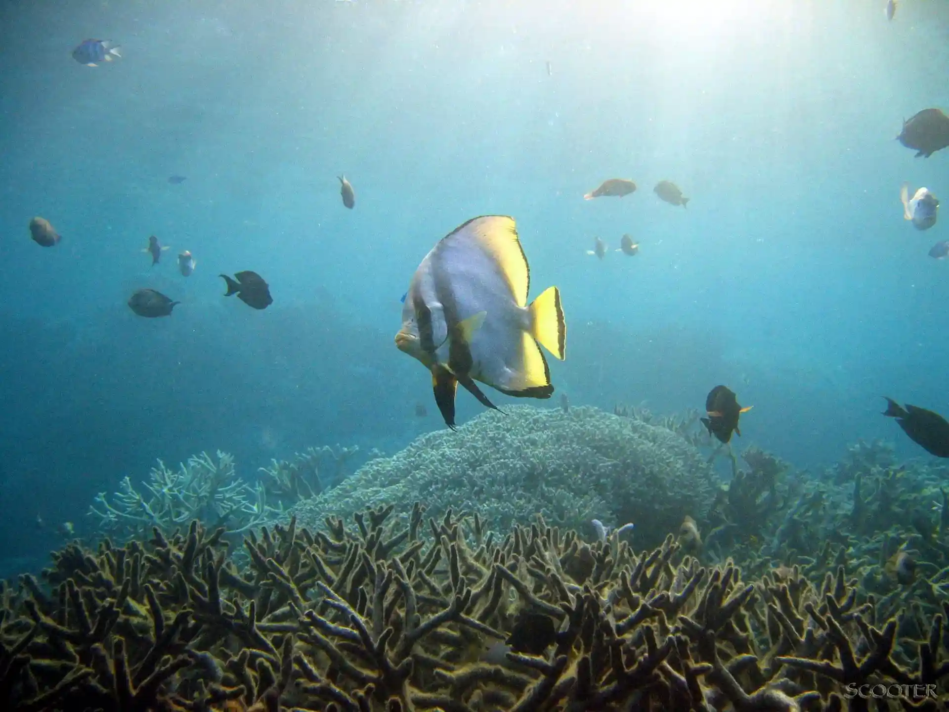 Dive site photo