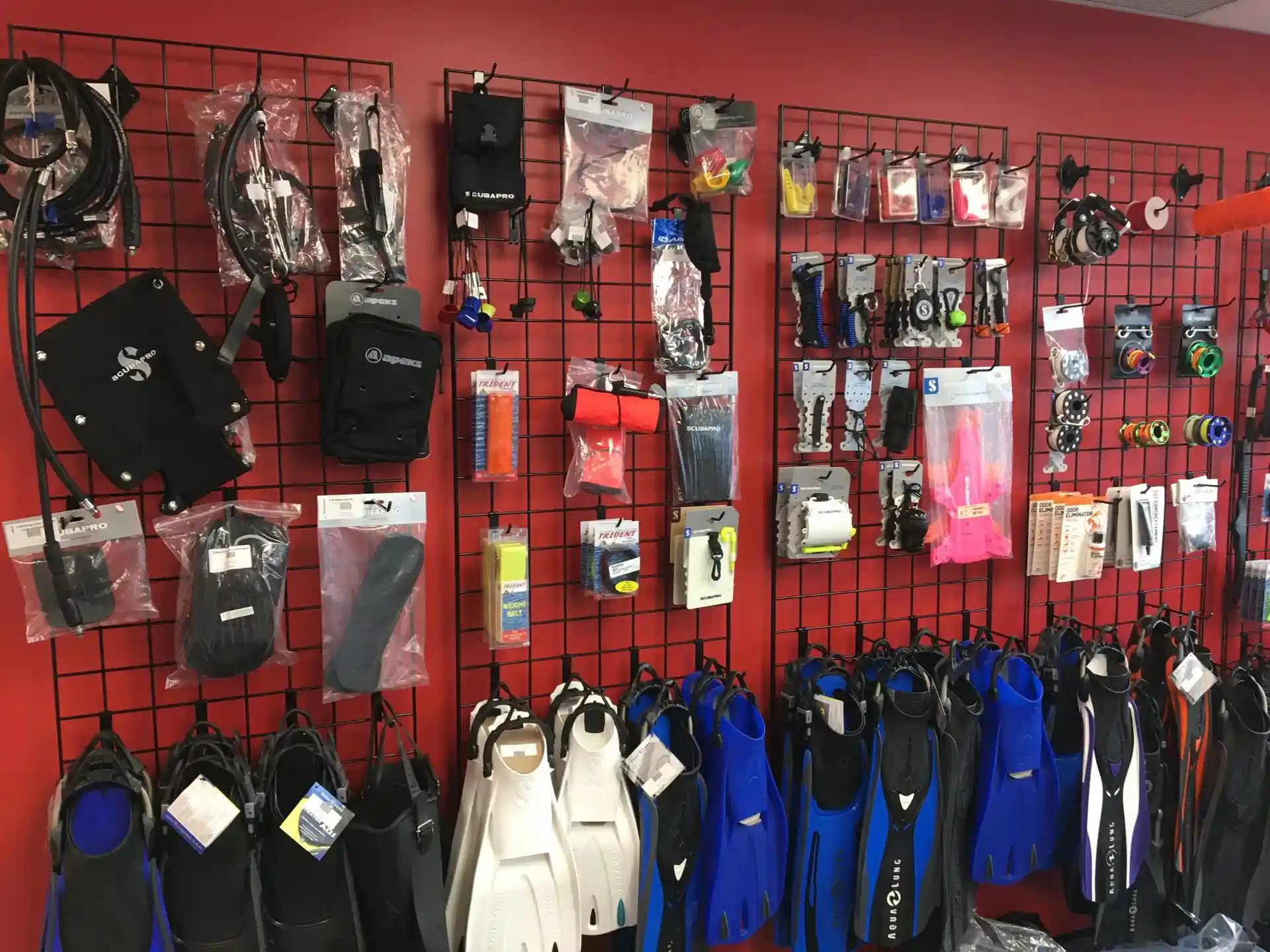 Dive shop photo