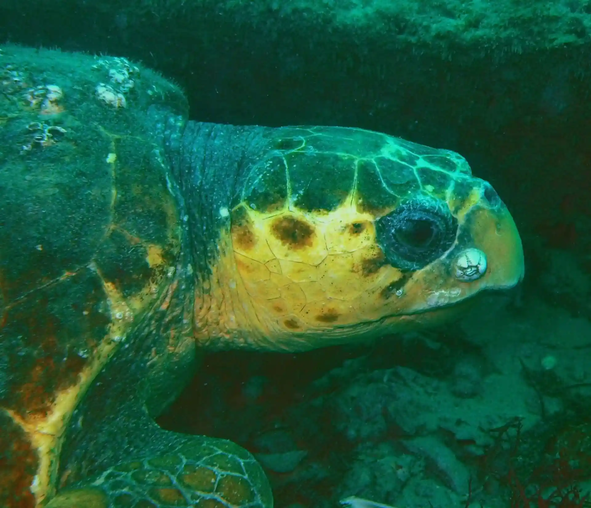 Dive site photo