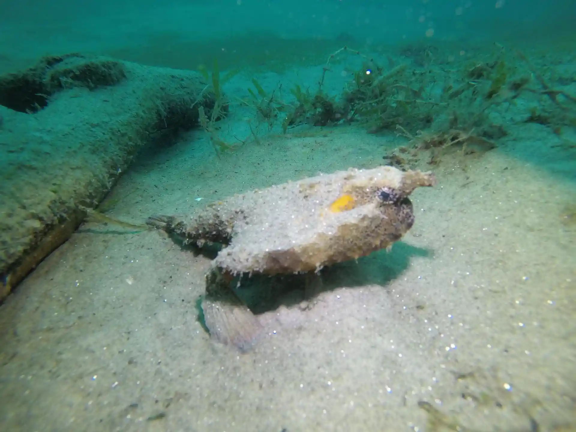 Dive site photo