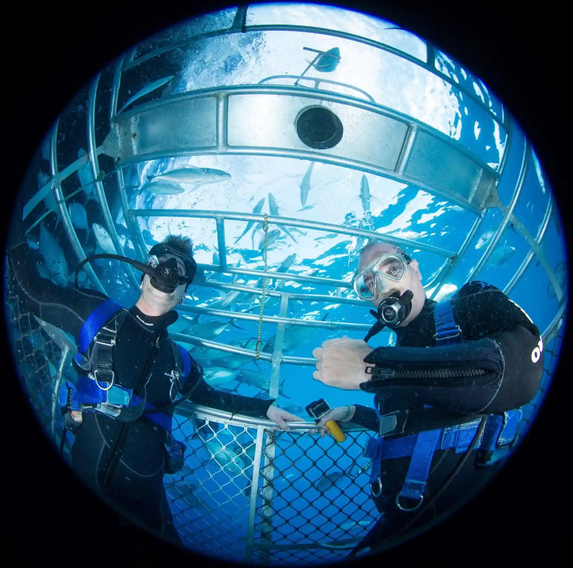 Foto de la tienda de buceo