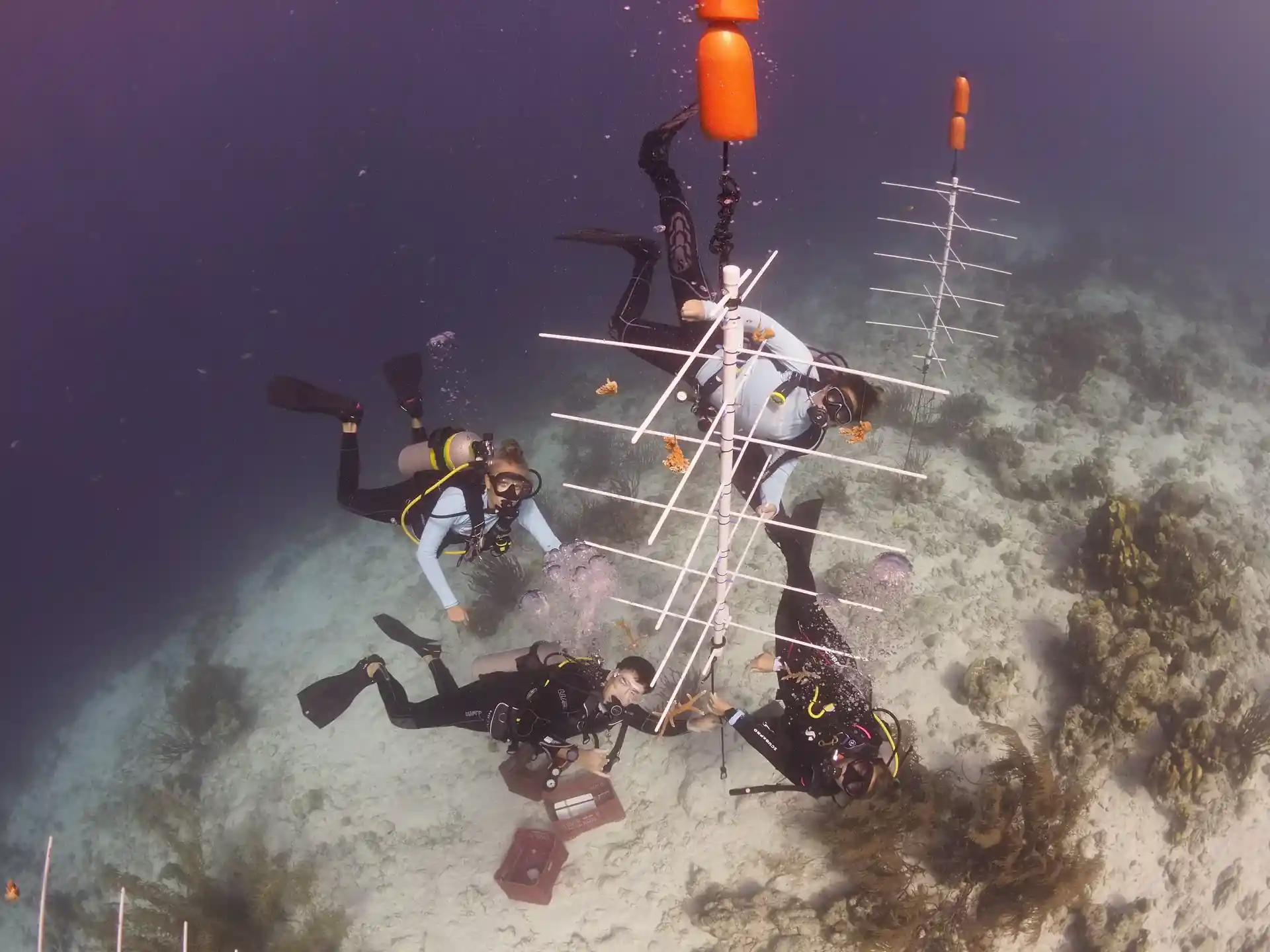 Dive site photo