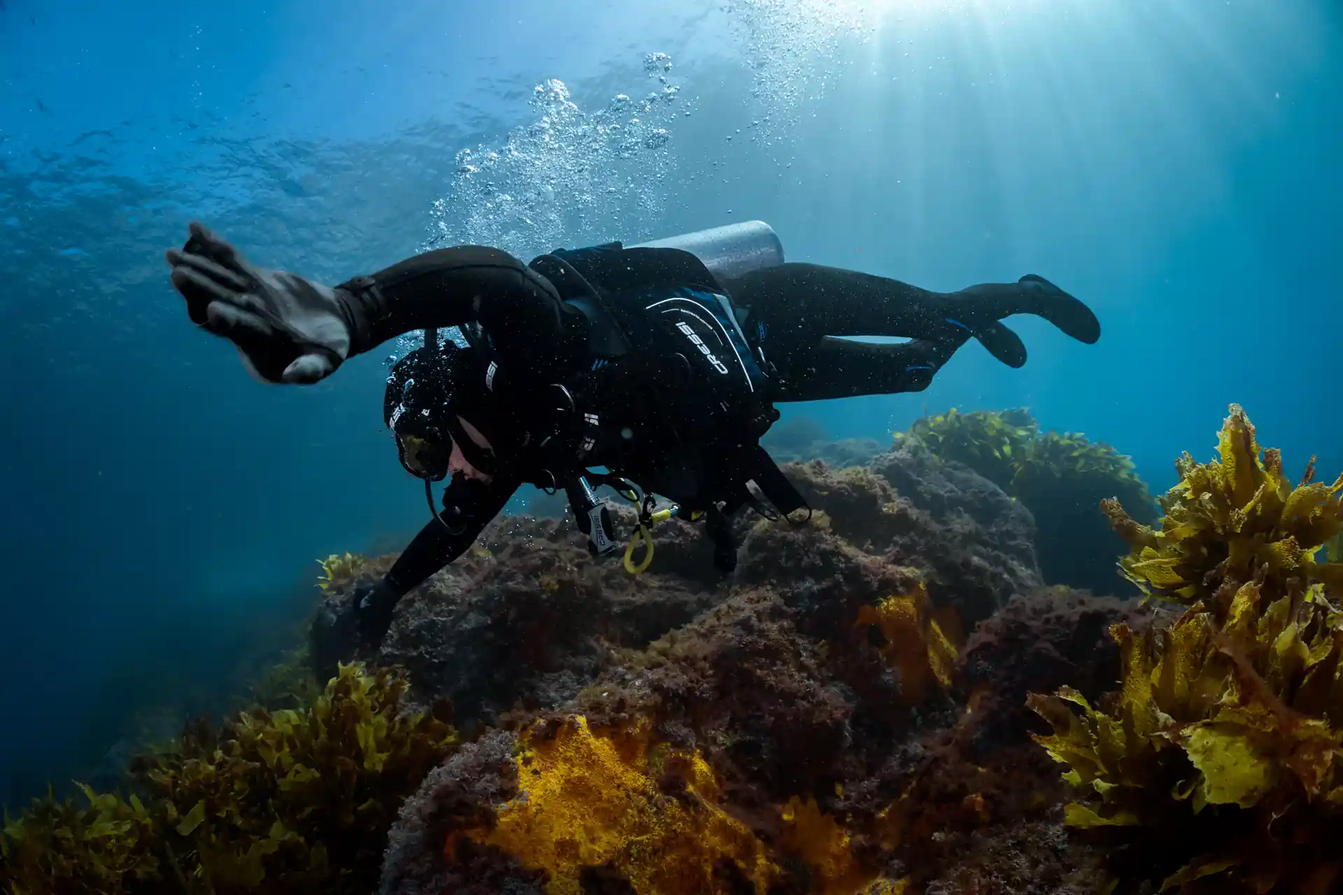 Photo du magasin de plongée