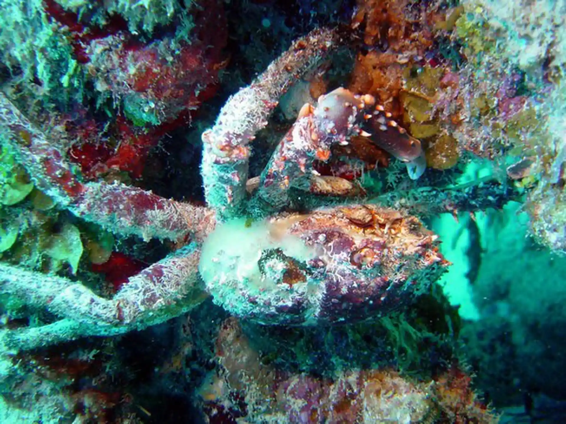 Dive shop photo