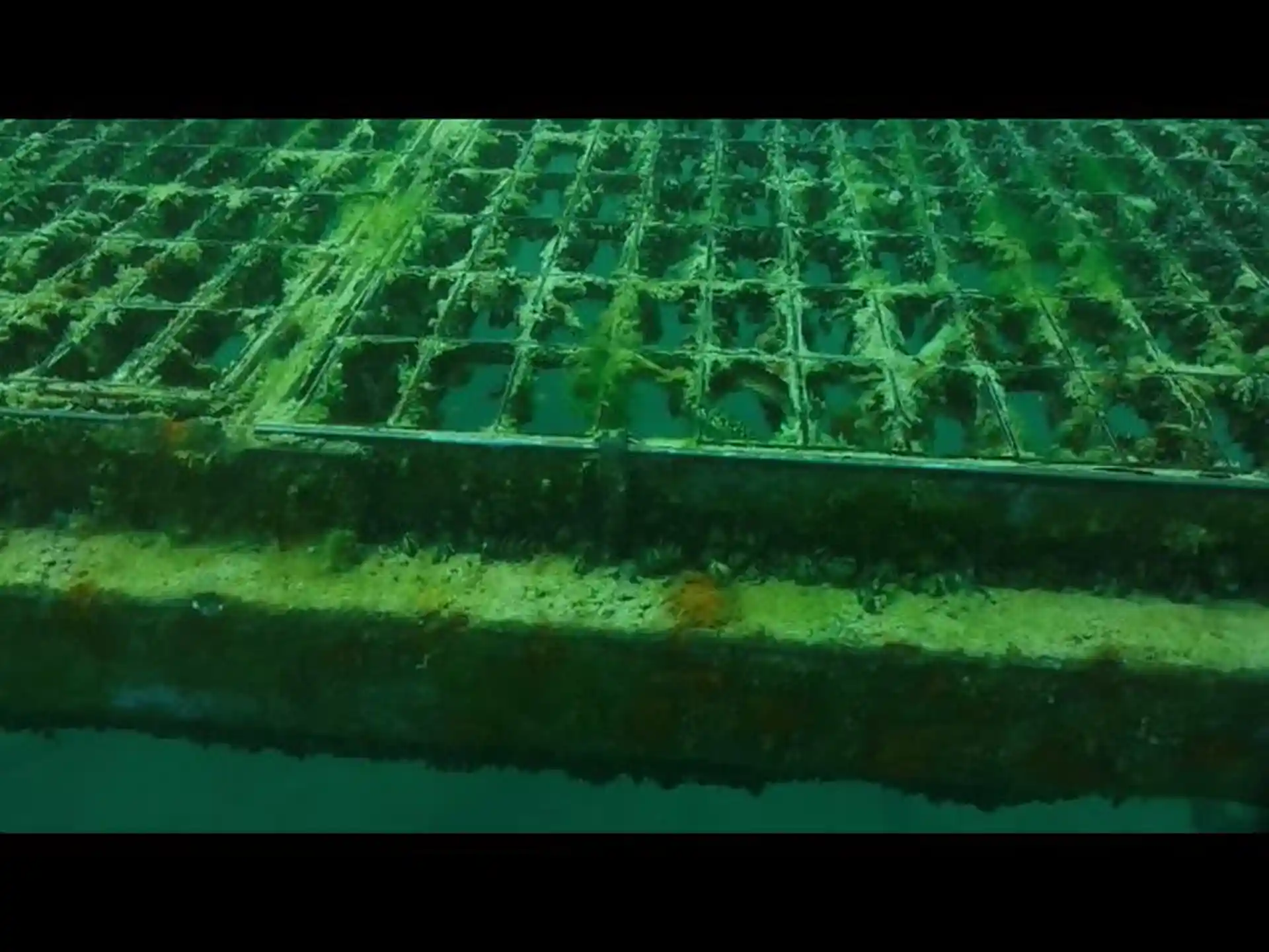 다이빙 포인트 사진