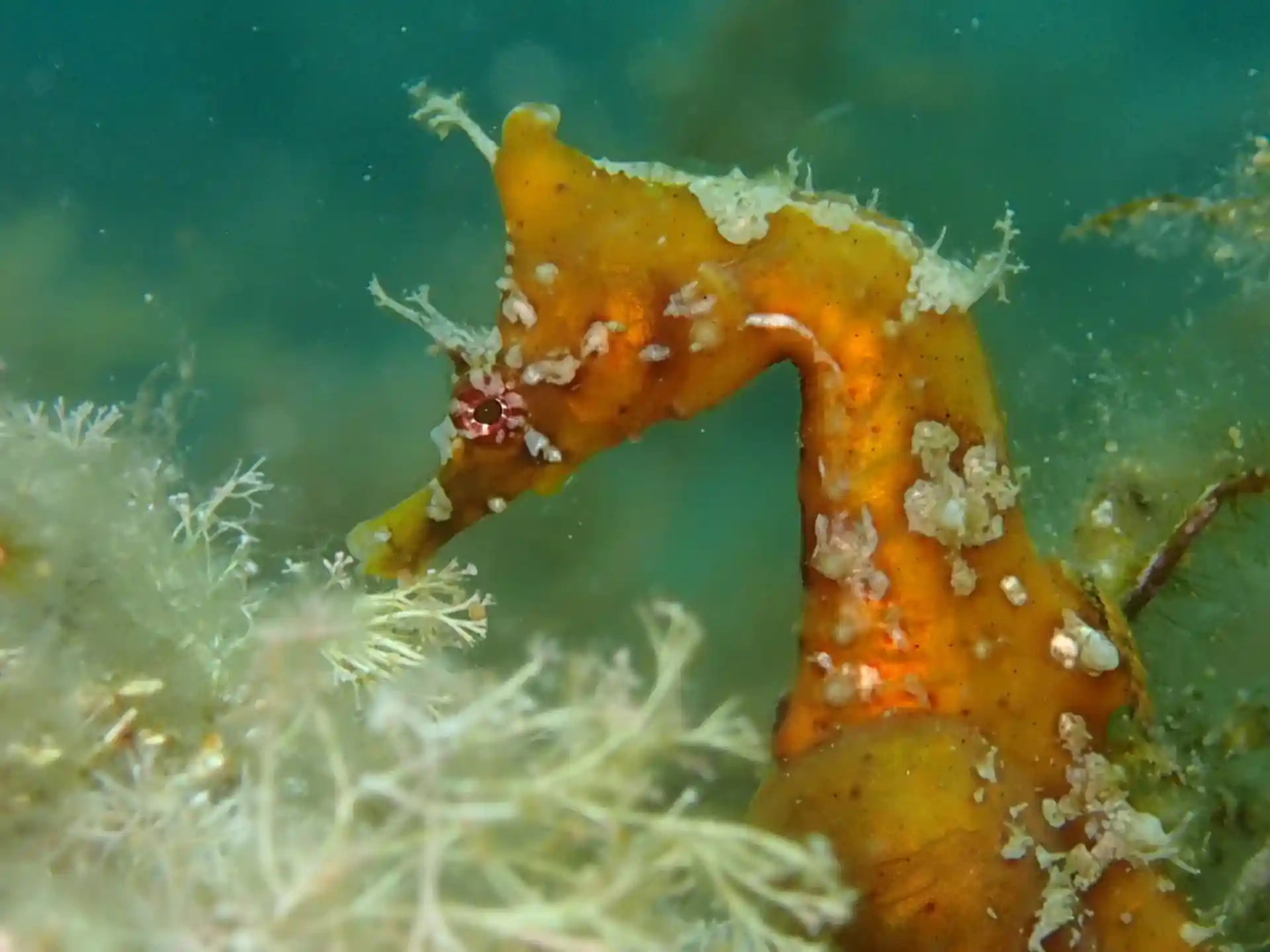 Dive site photo