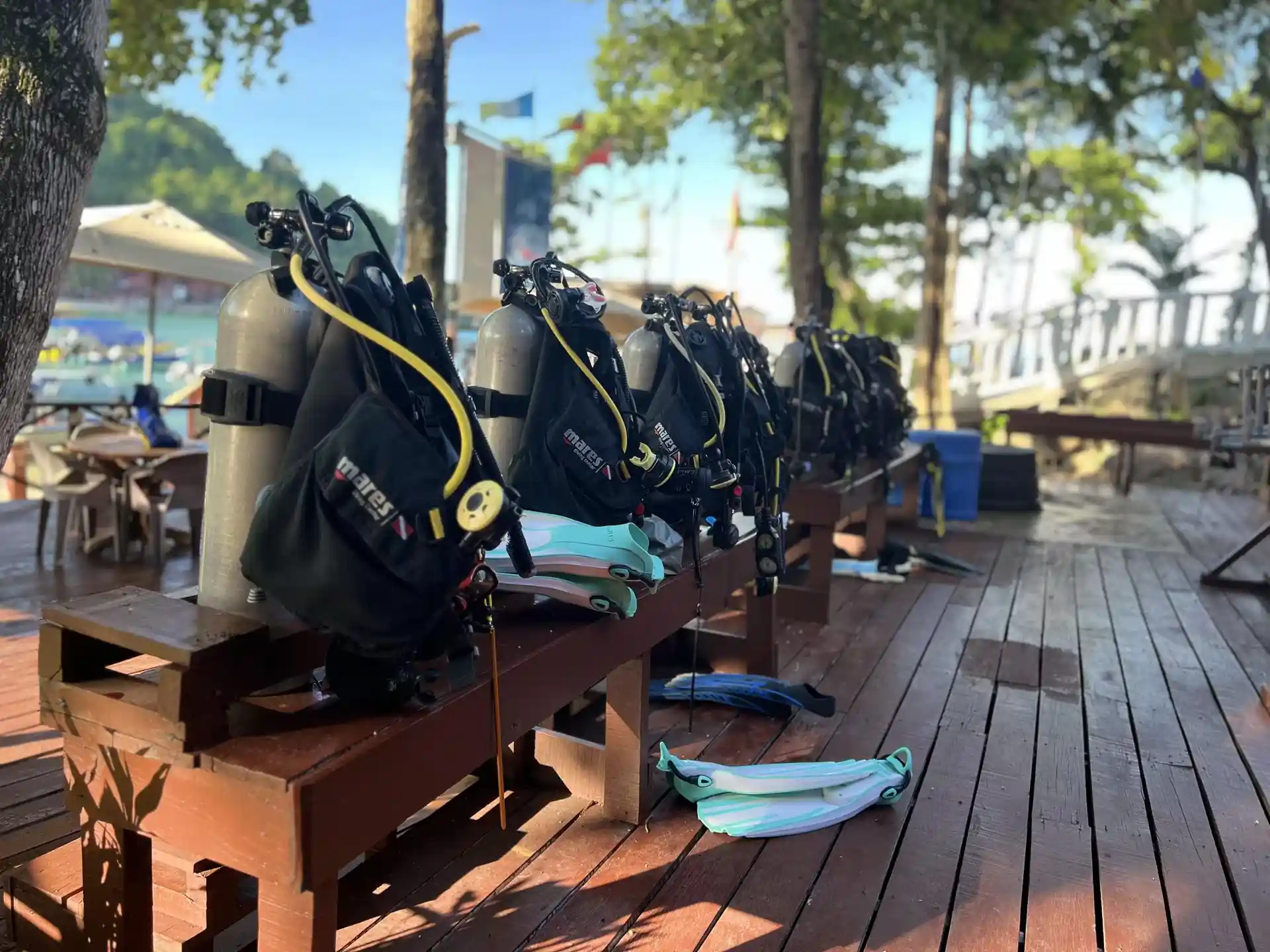 Gearing up to explore the magic beneath! ✨🐟