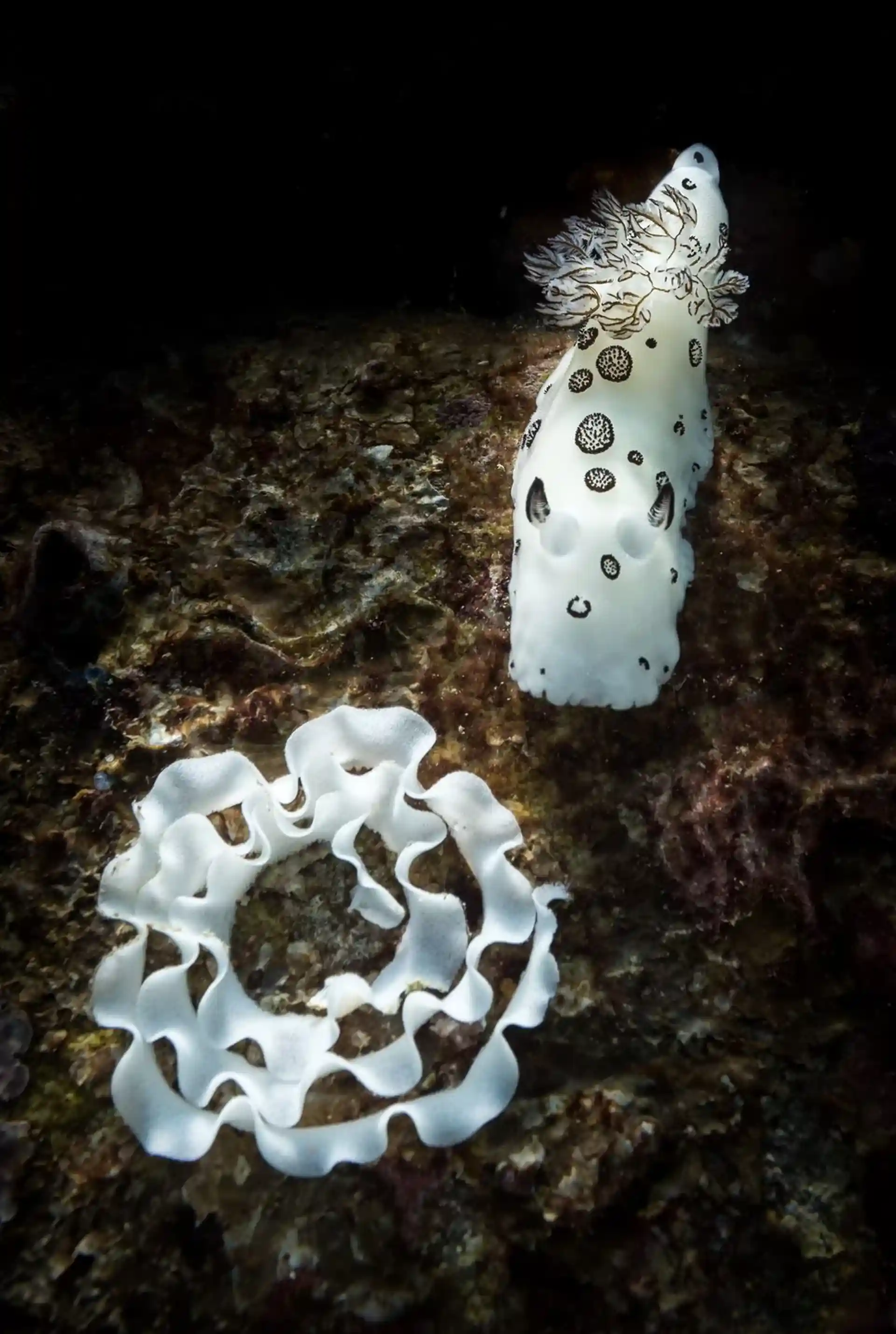 Dive site photo