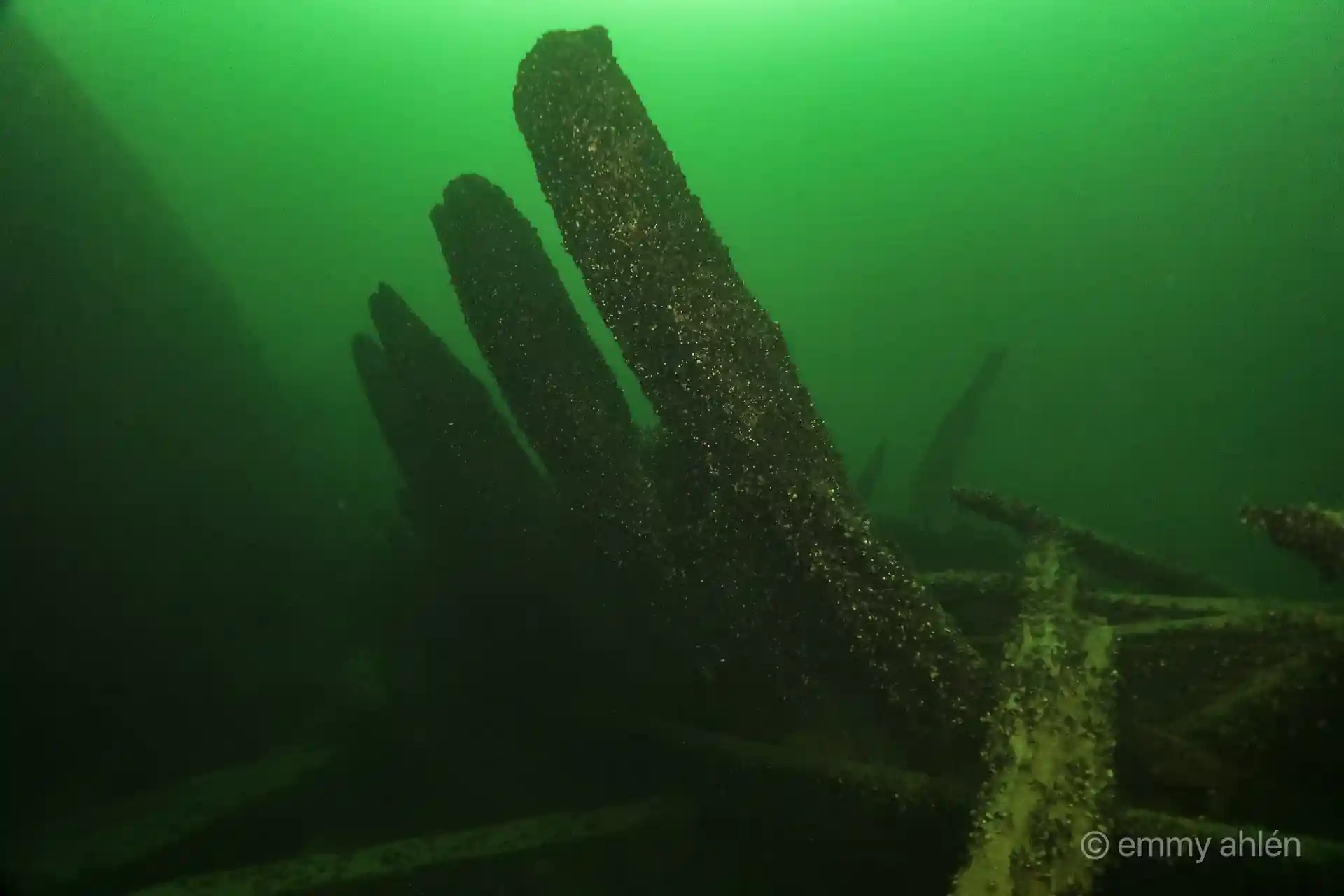 Dive site photo