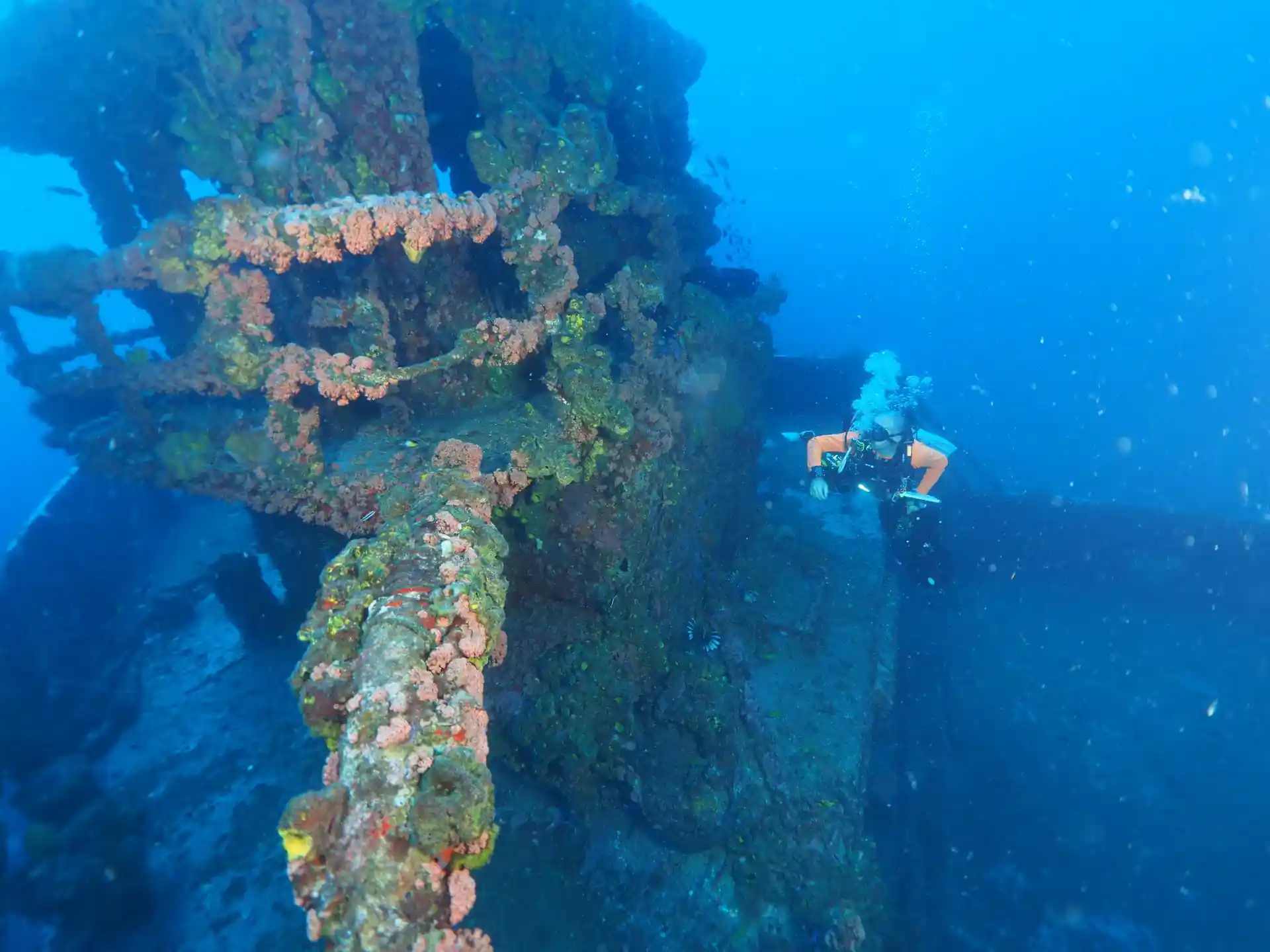 Dive site photo