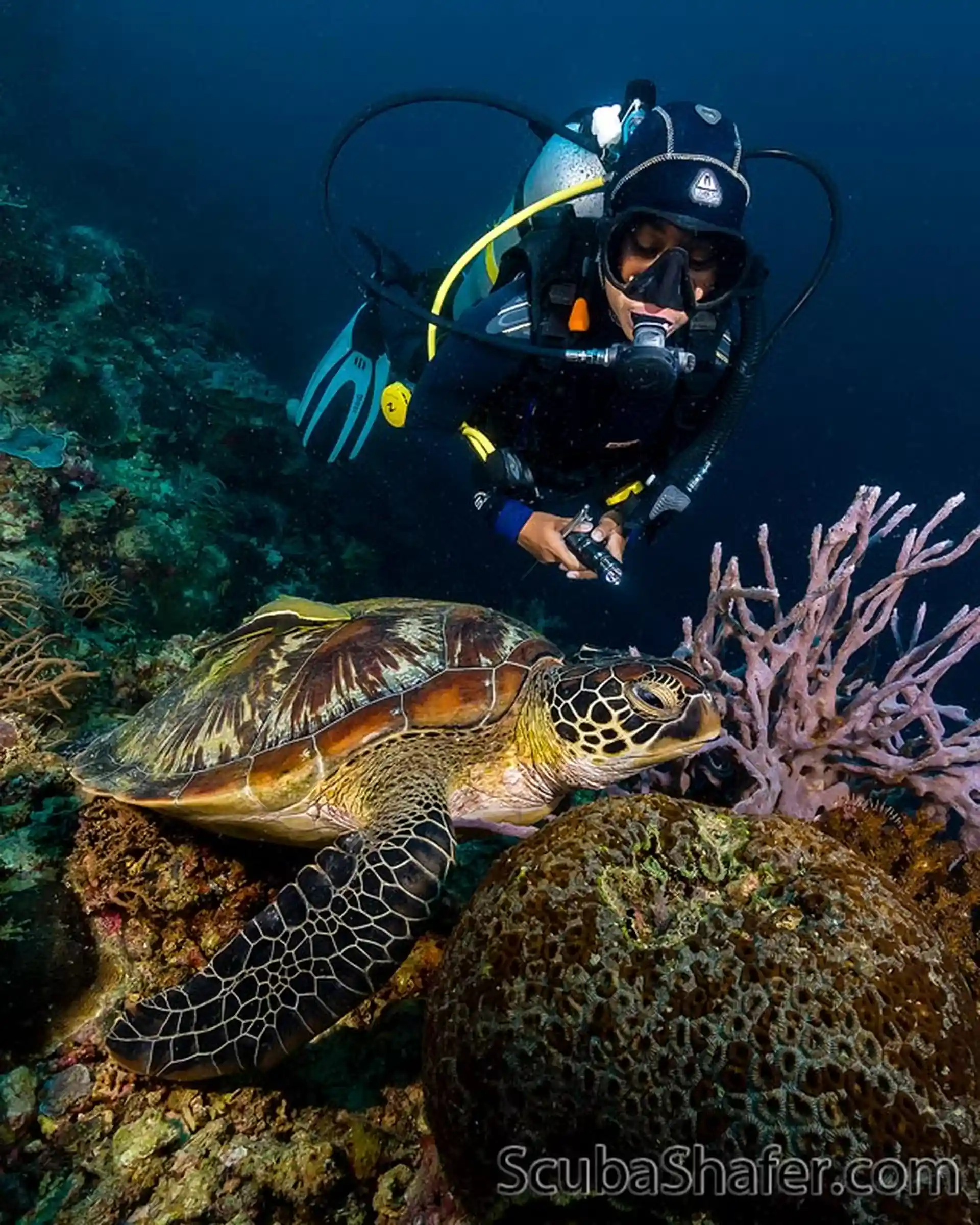 Dive site photo