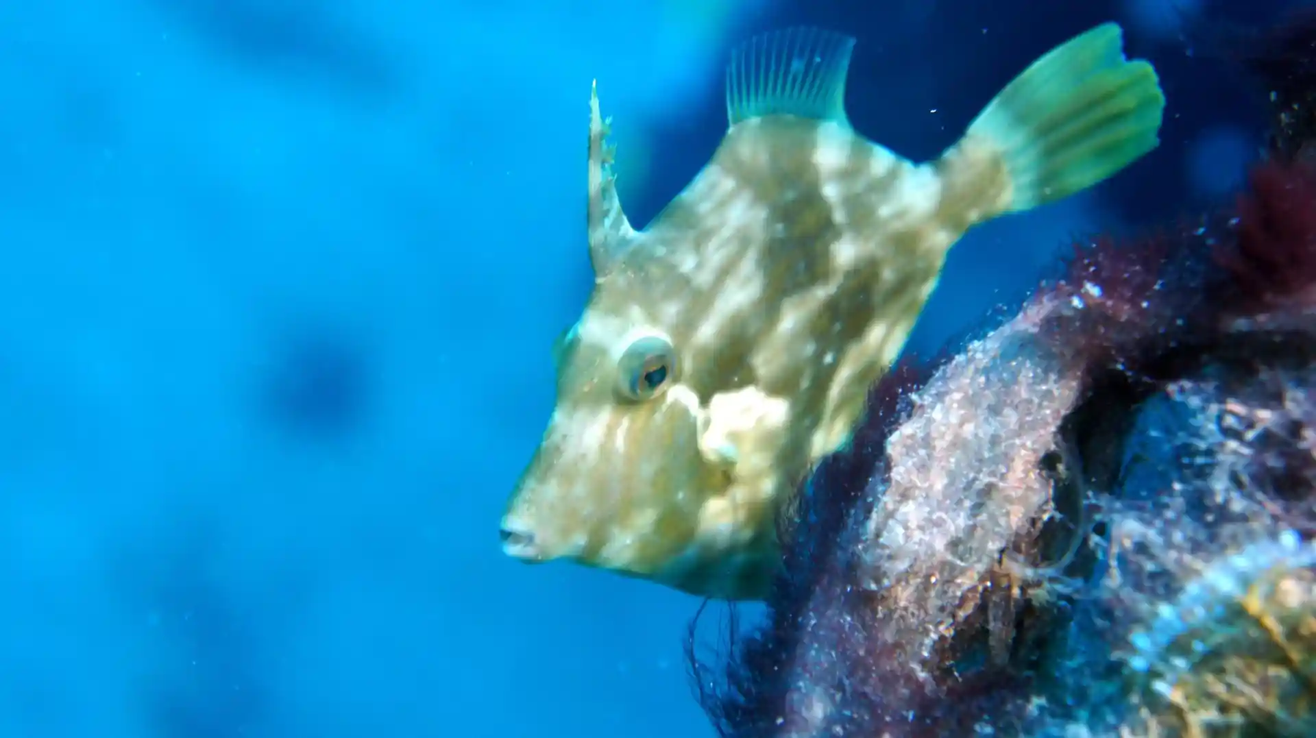 Foto des Tauchplatzes