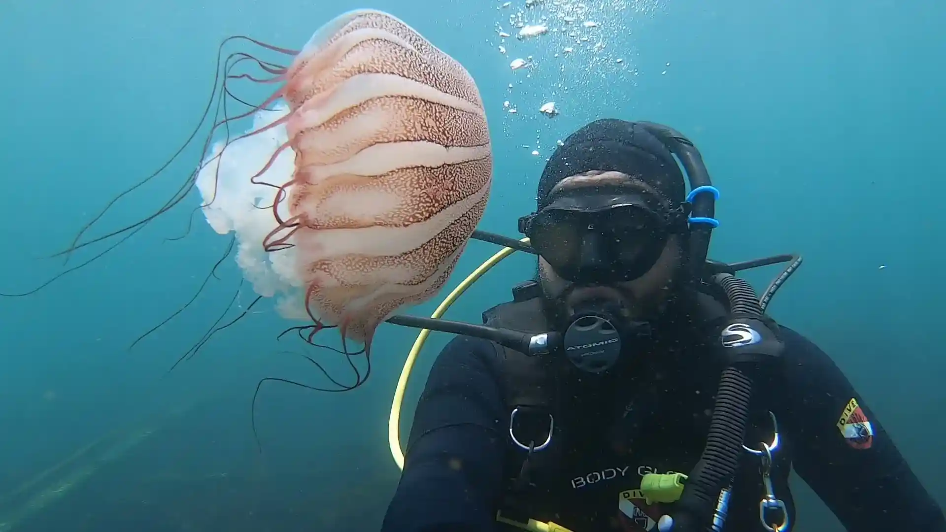 Foto del sitio de buceo