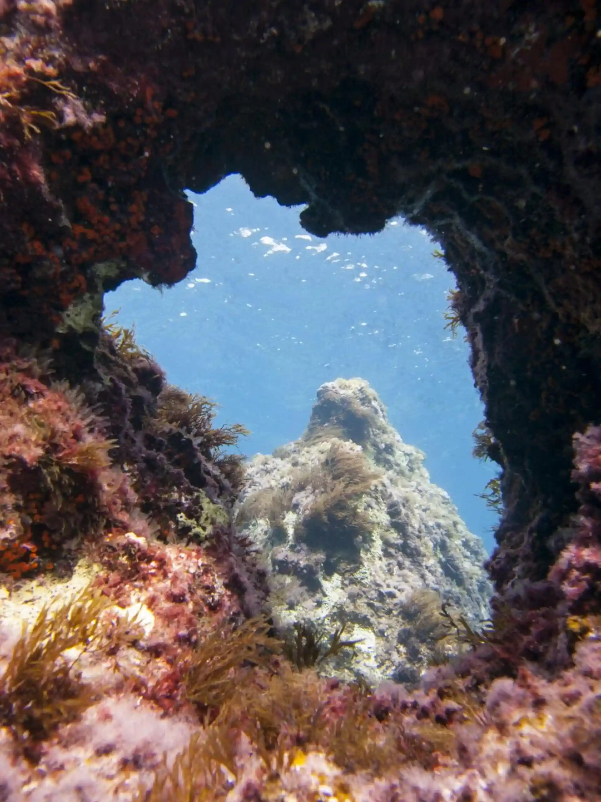 Dive site photo