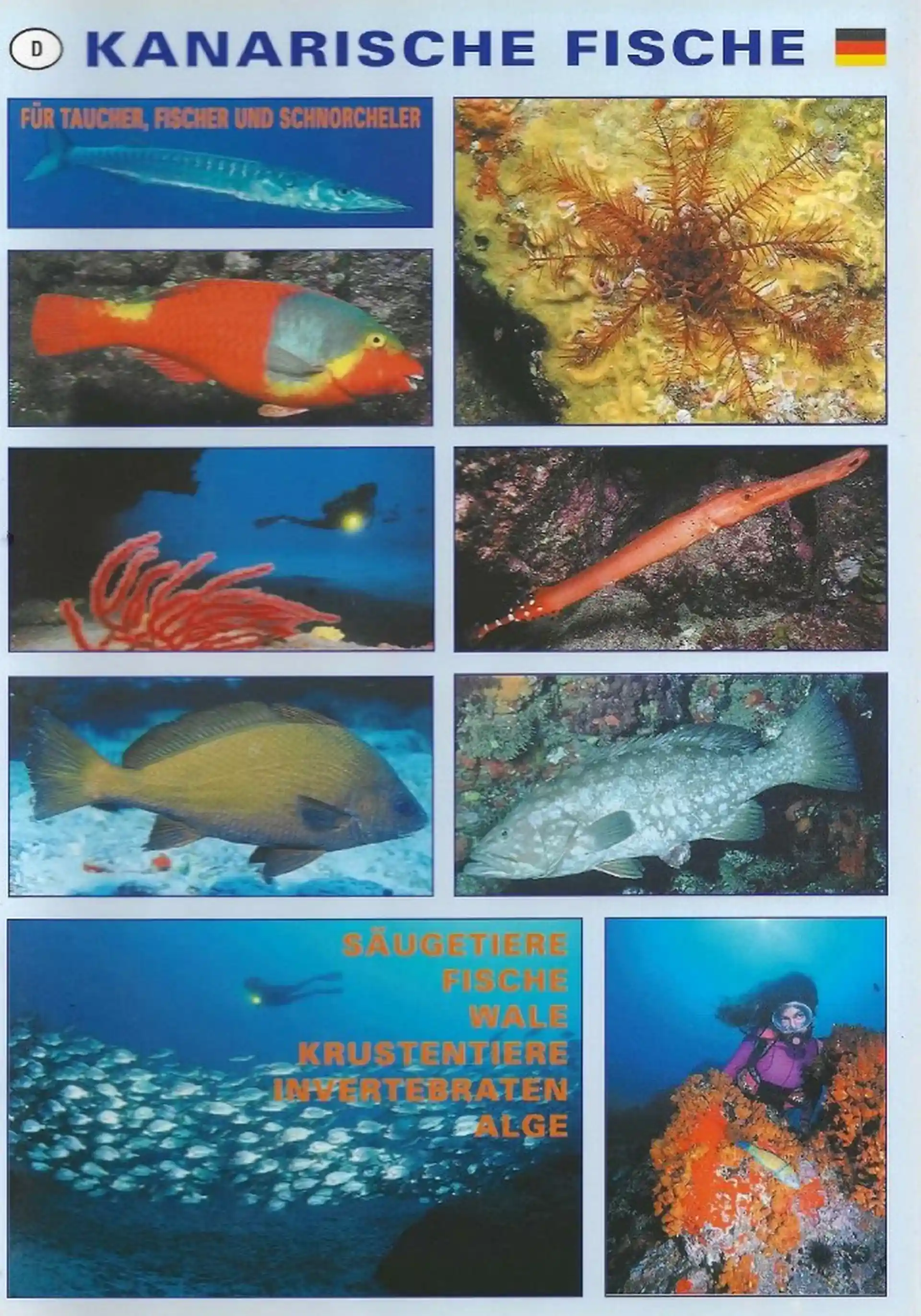 Foto del sitio de buceo