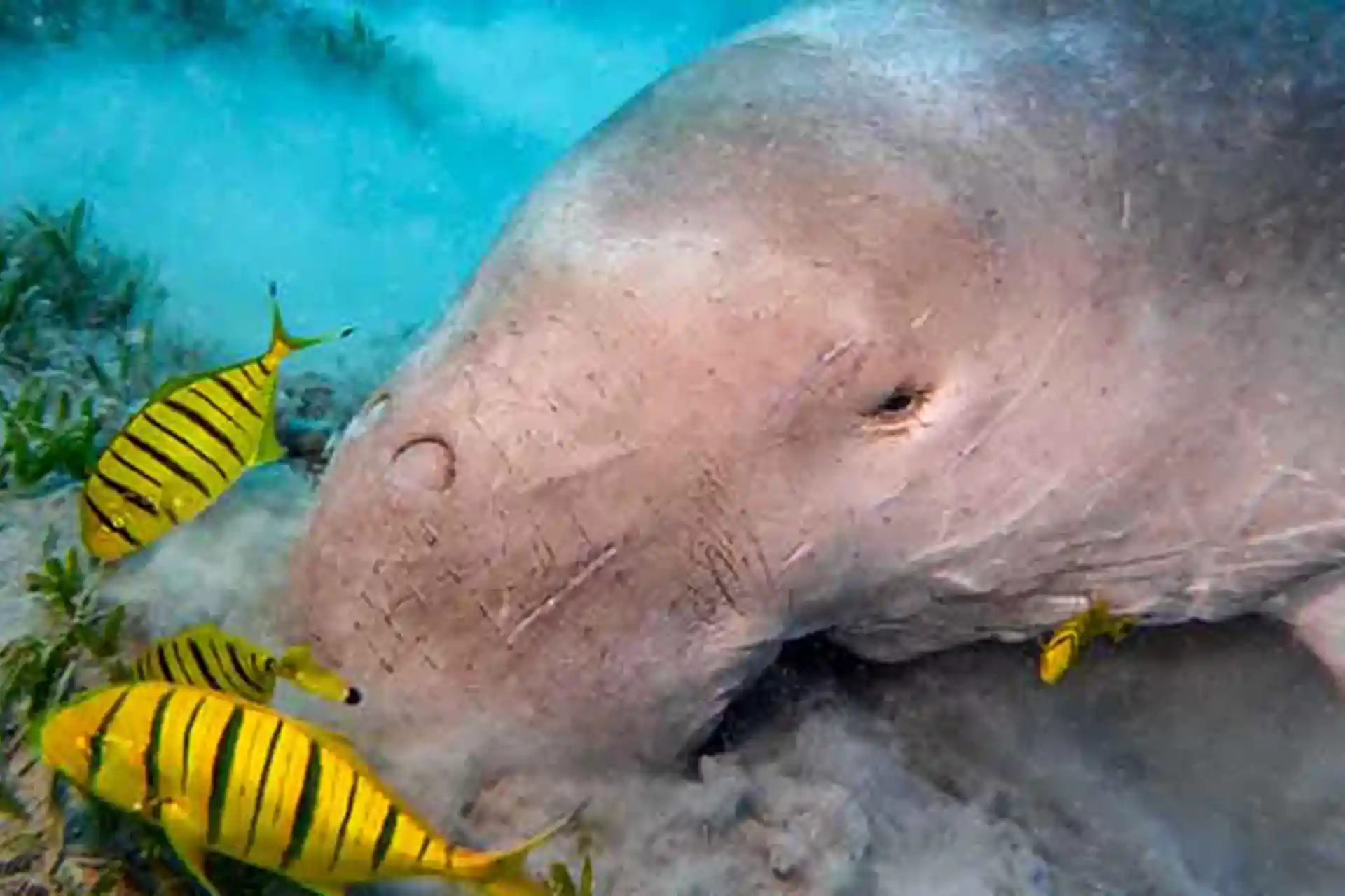 Photo de l'activité