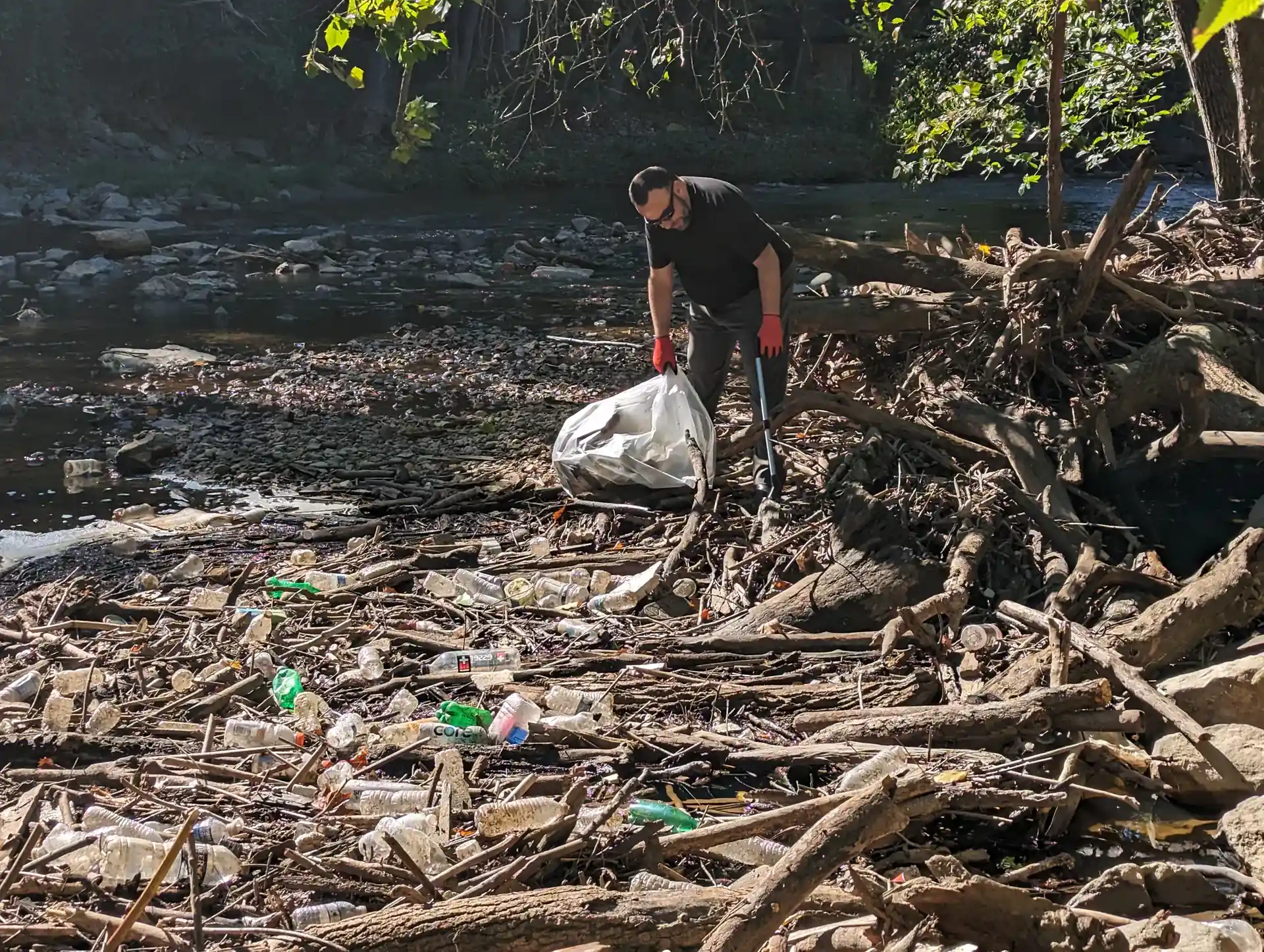 Foto de la actividad