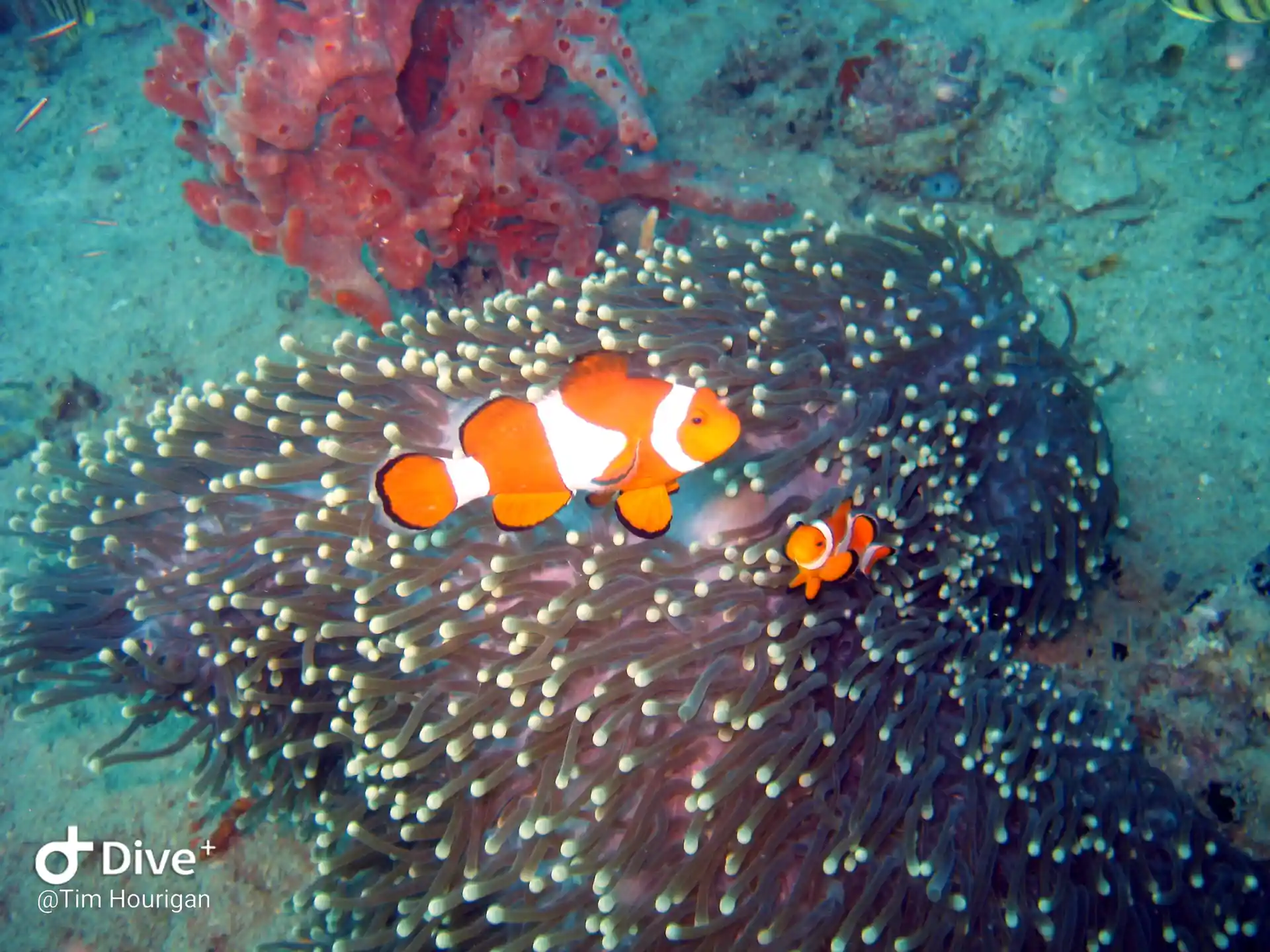 Dive shop photo