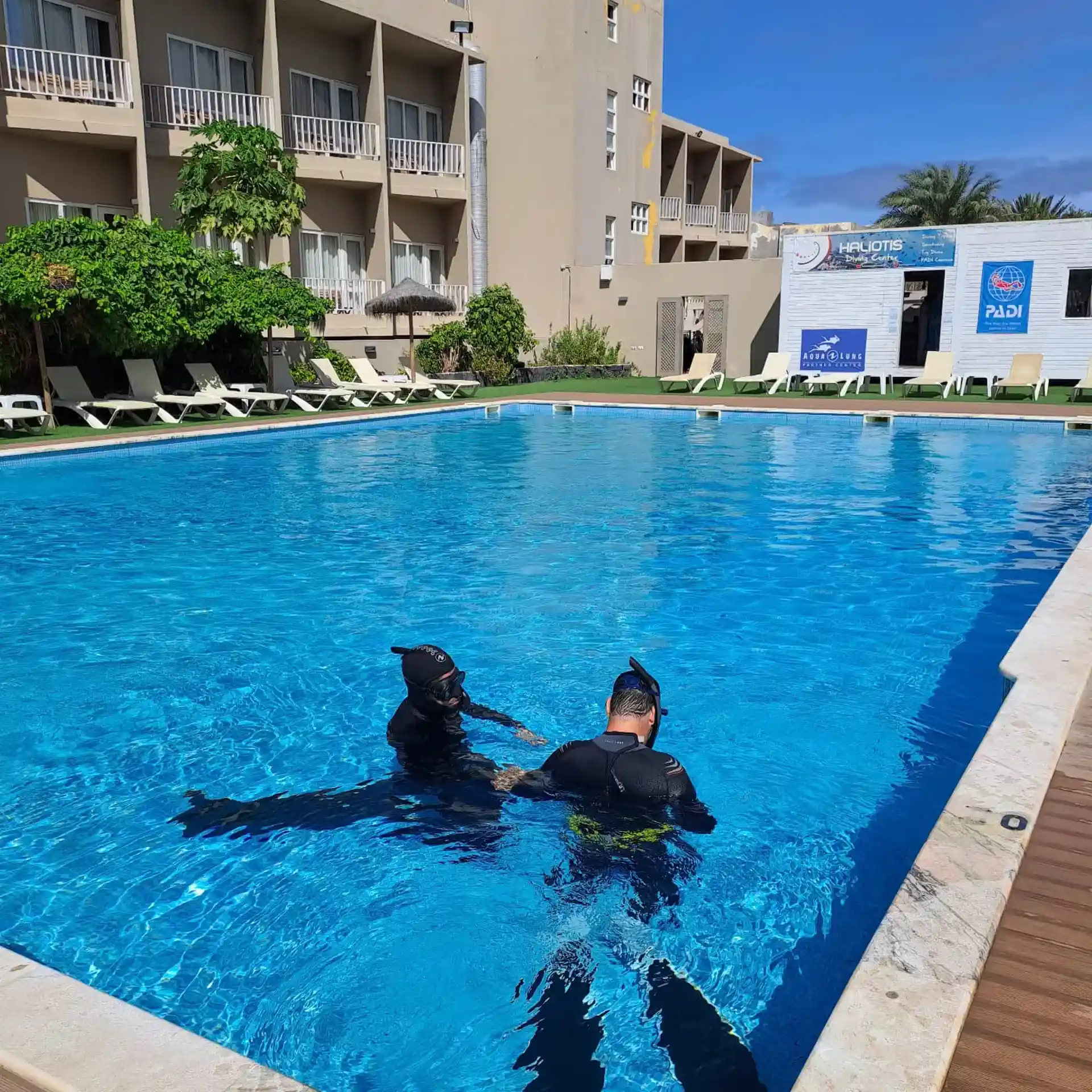 Photo de l'activité