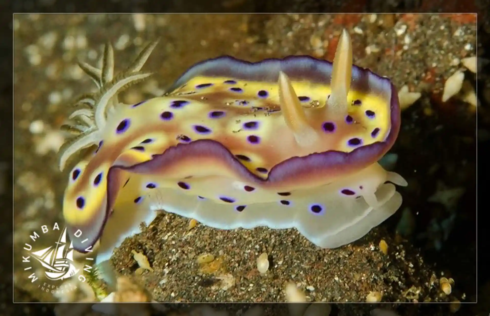 Photo de l'activité