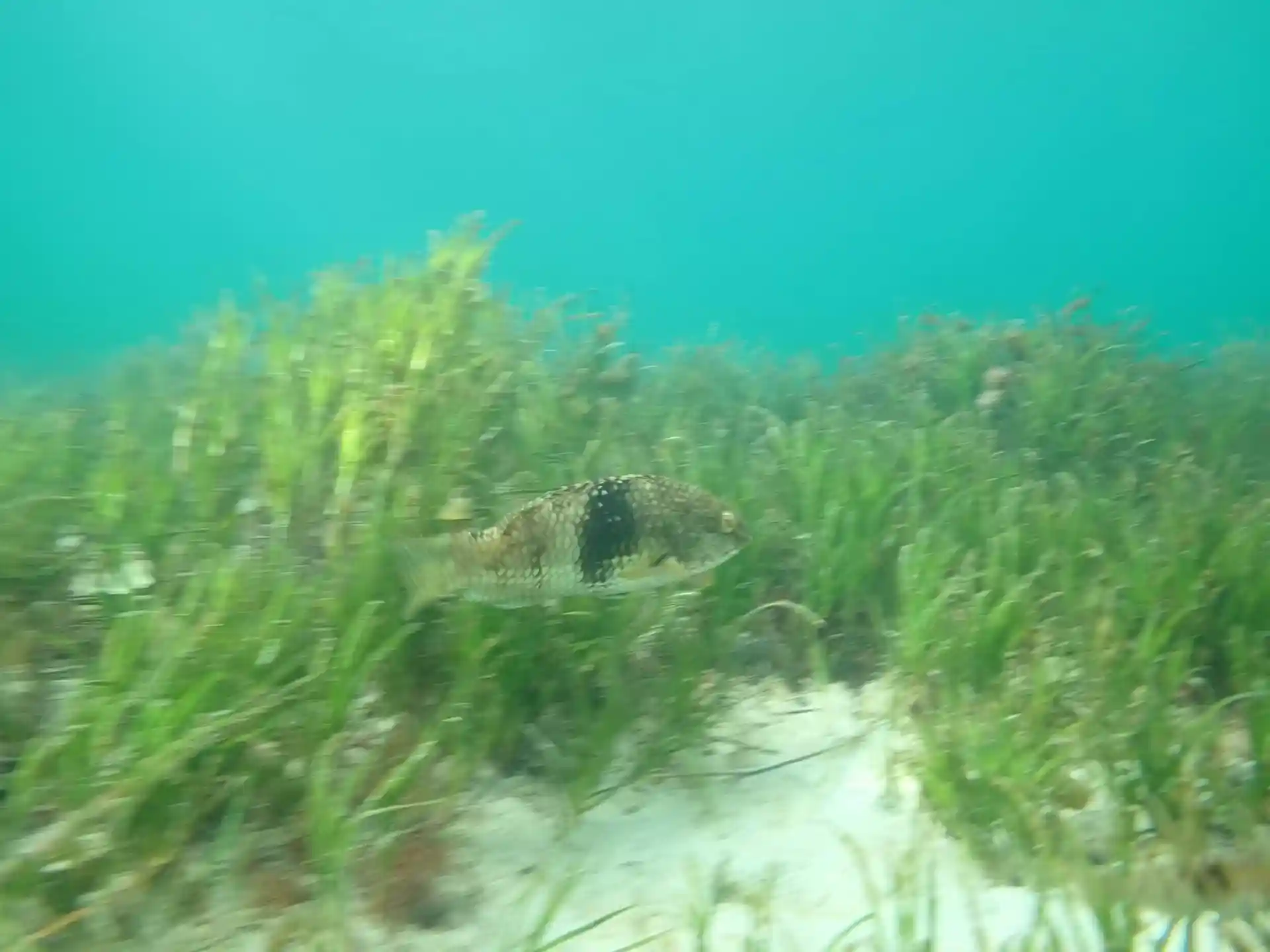 ダイビングサイトの写真