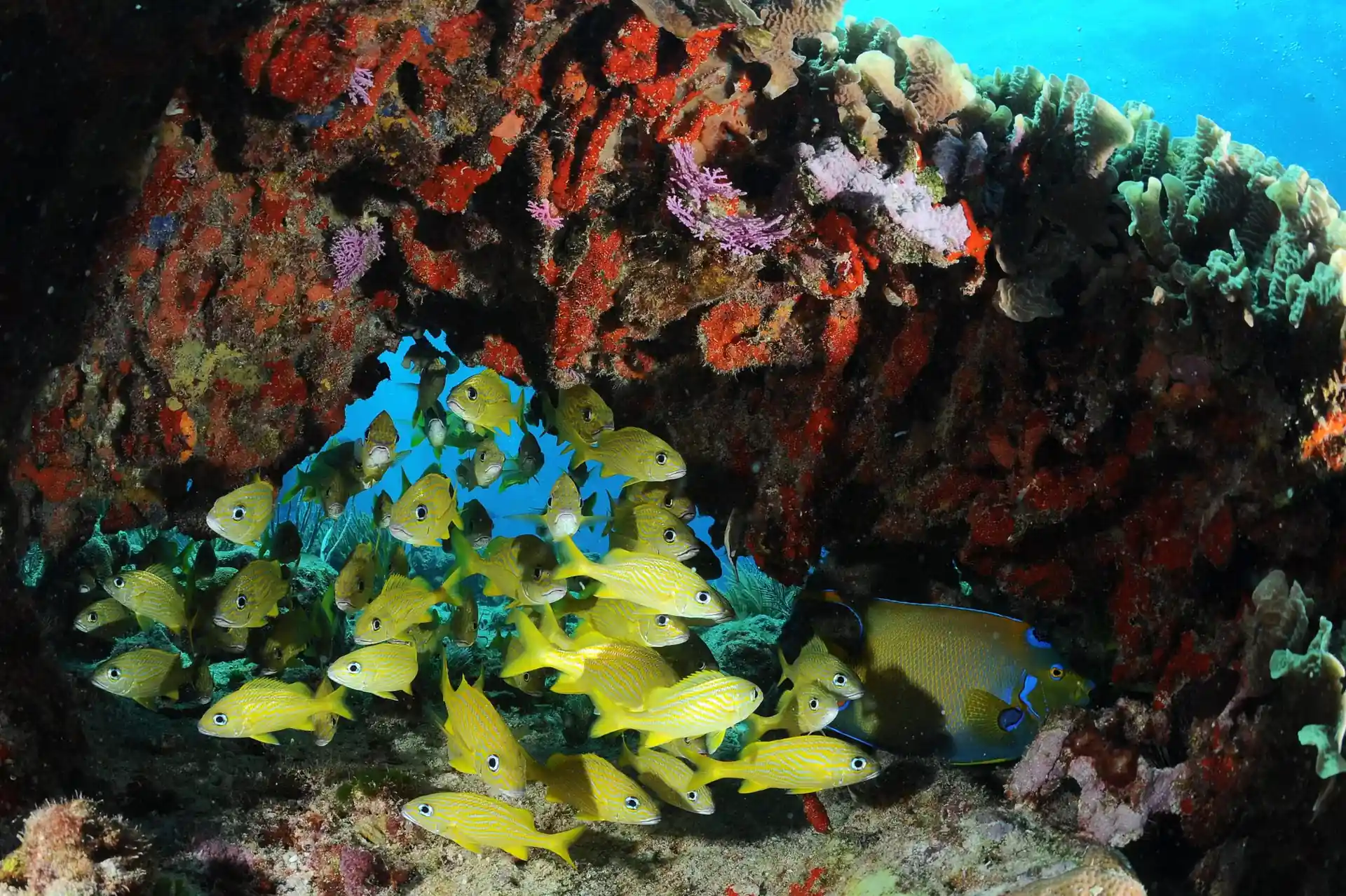 Dive site photo