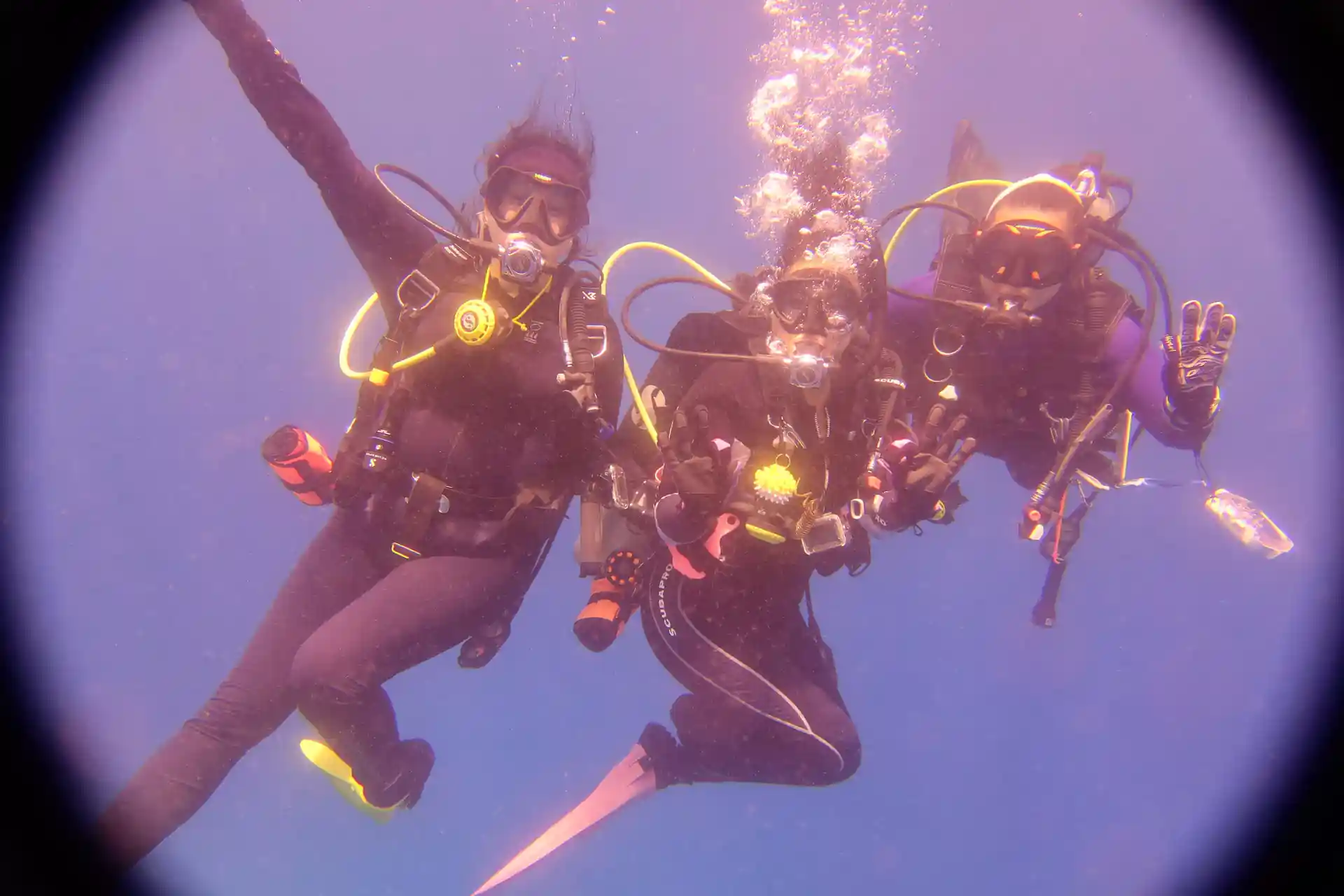 SEAsters in Action : All-Women Clean-up Dive Day