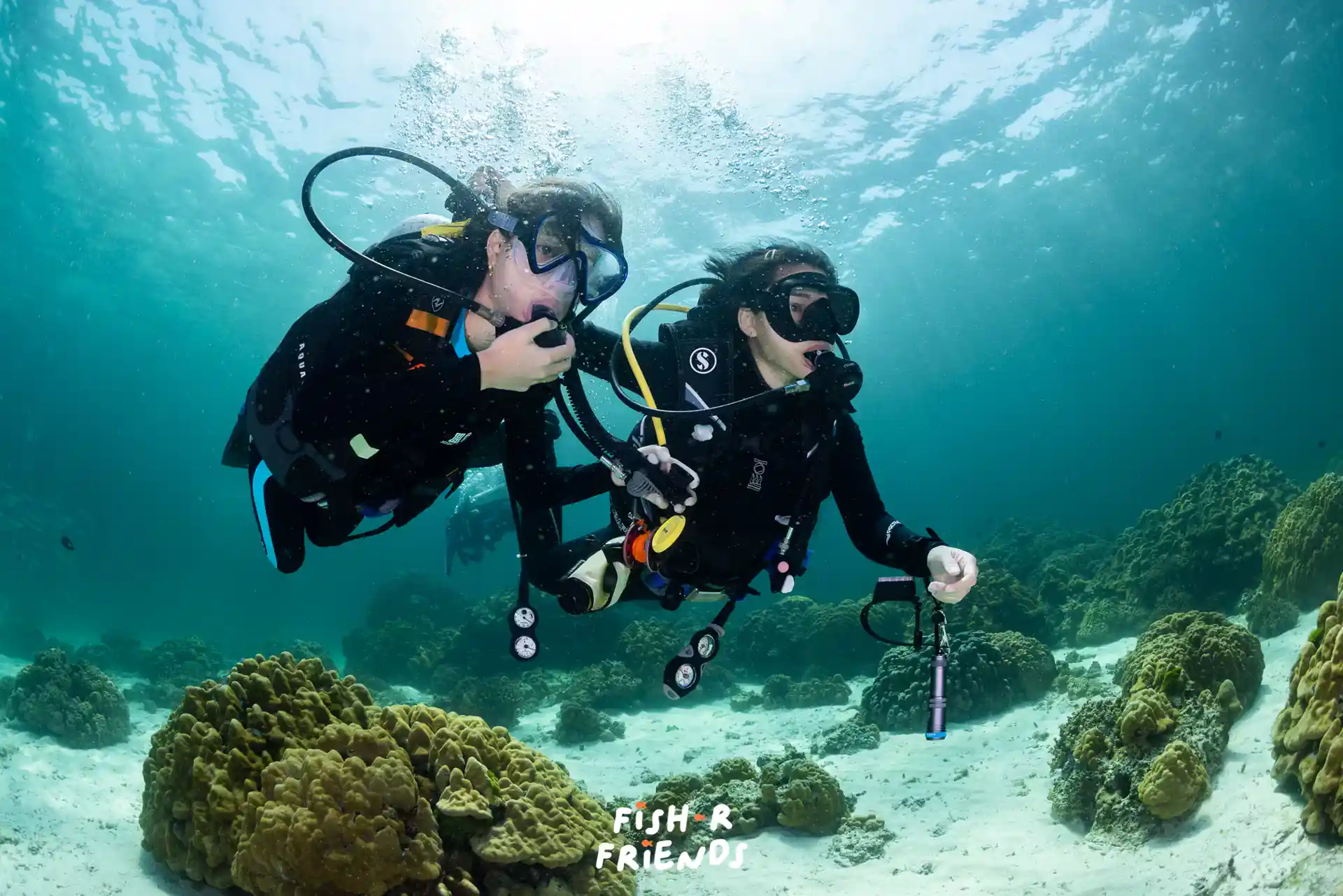 다이빙 포인트 사진