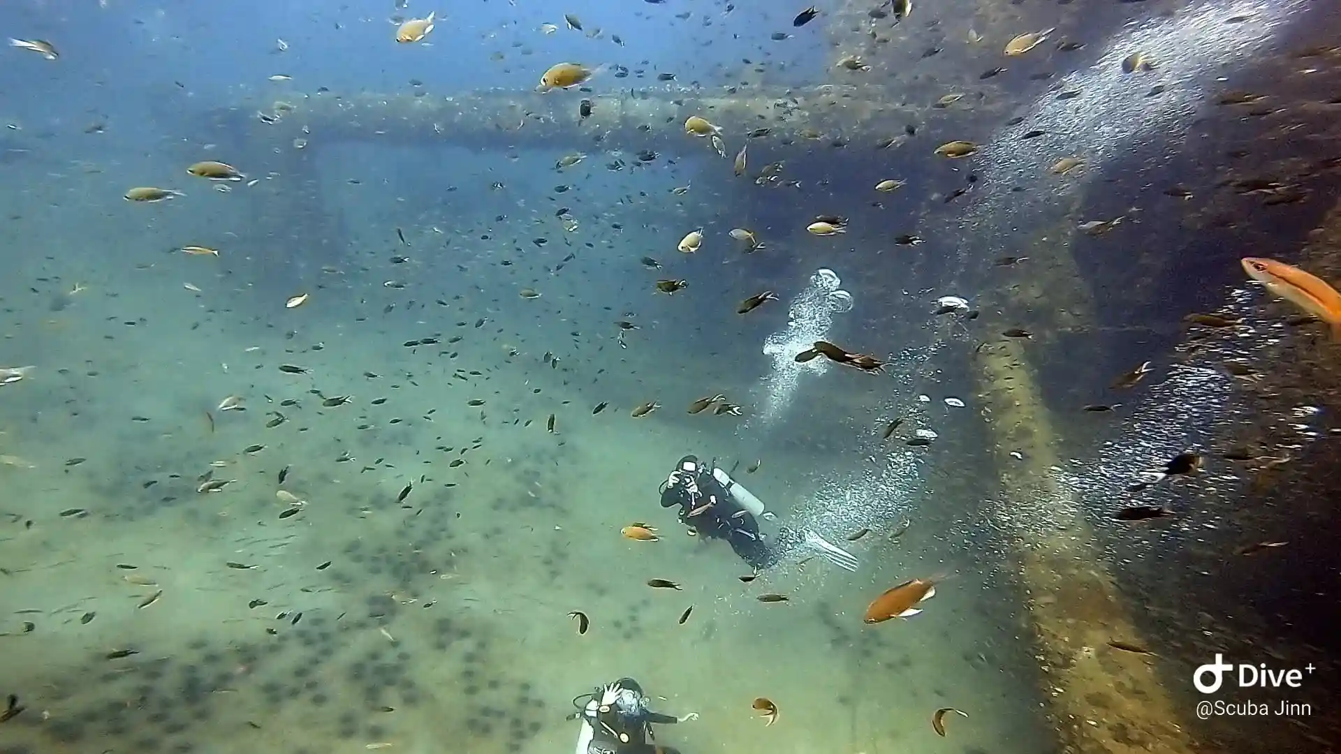 Dive site photo