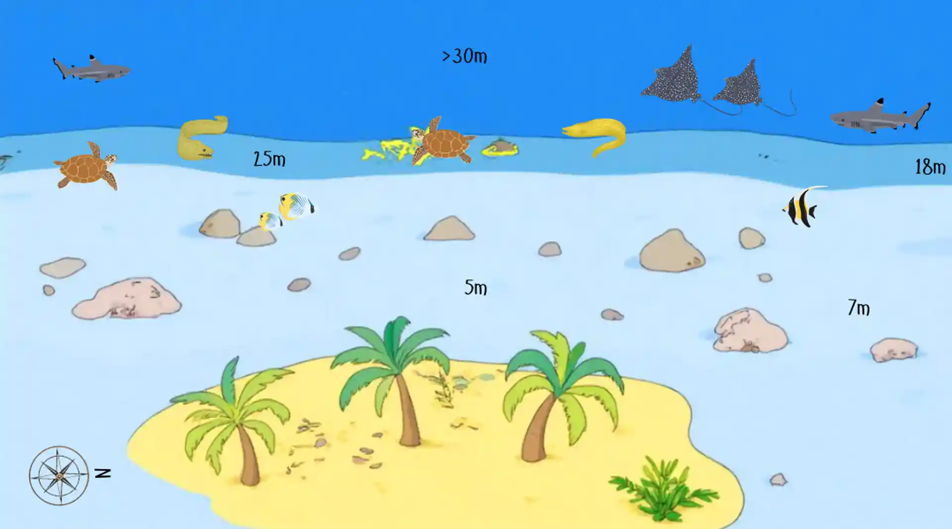 Dive site photo